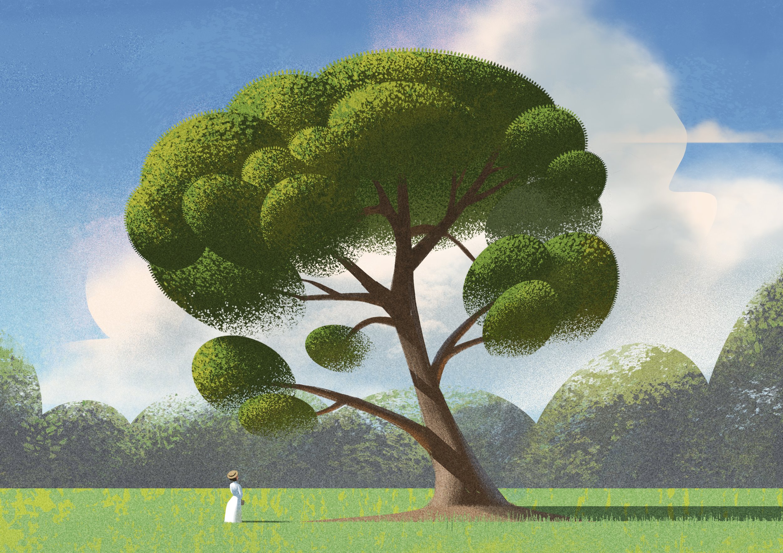 tree.jpg