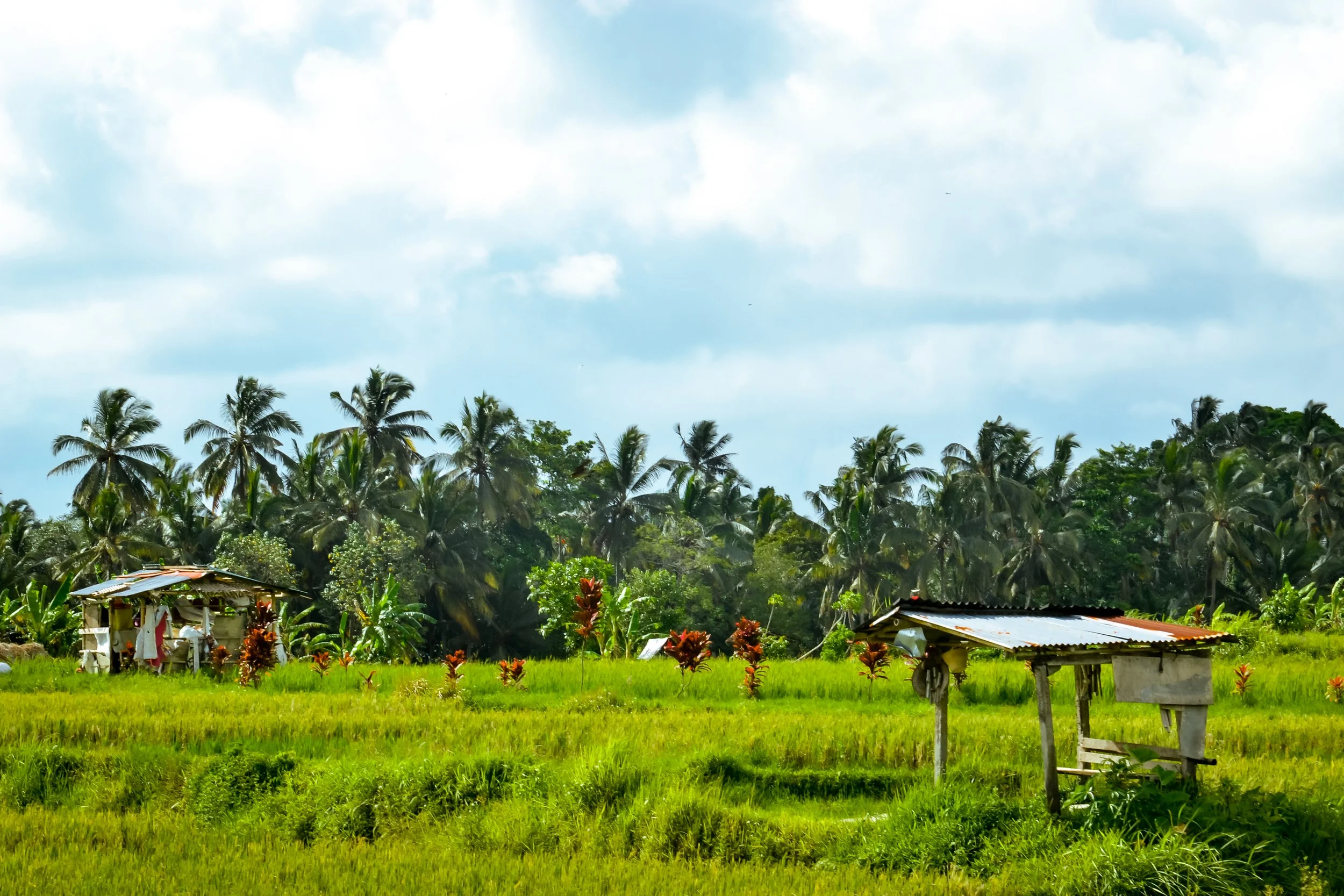 Sustainability done right | Let's Get Lost Bali