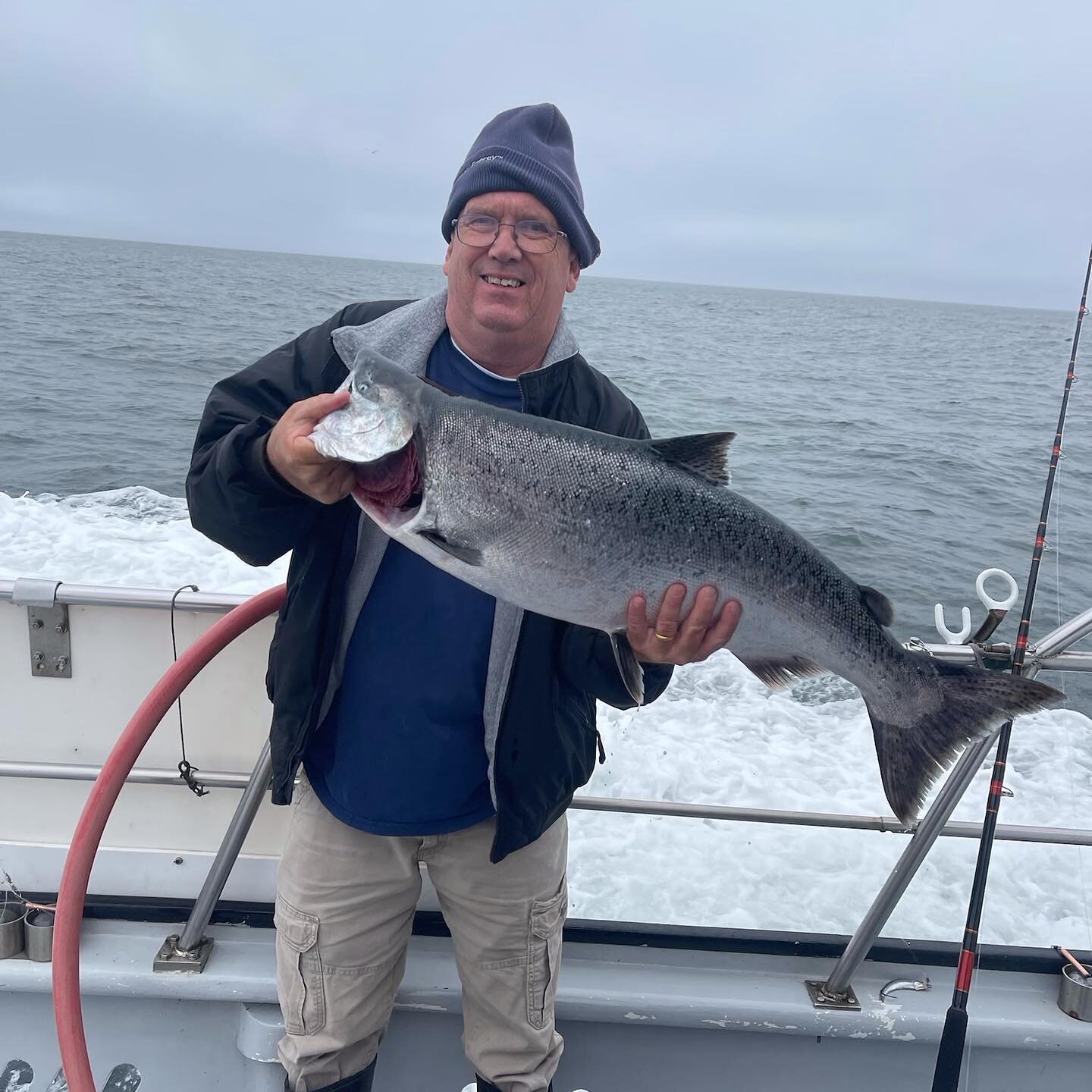 Hog alert! Major hog alert! 28 pounder and 31 pounder made the day a little bit brighter after a rough morning! #fishemeryville #pacificpearlcharters.com #salmon #sfbayareafishing #thisiswhy #pigs #checkyobait