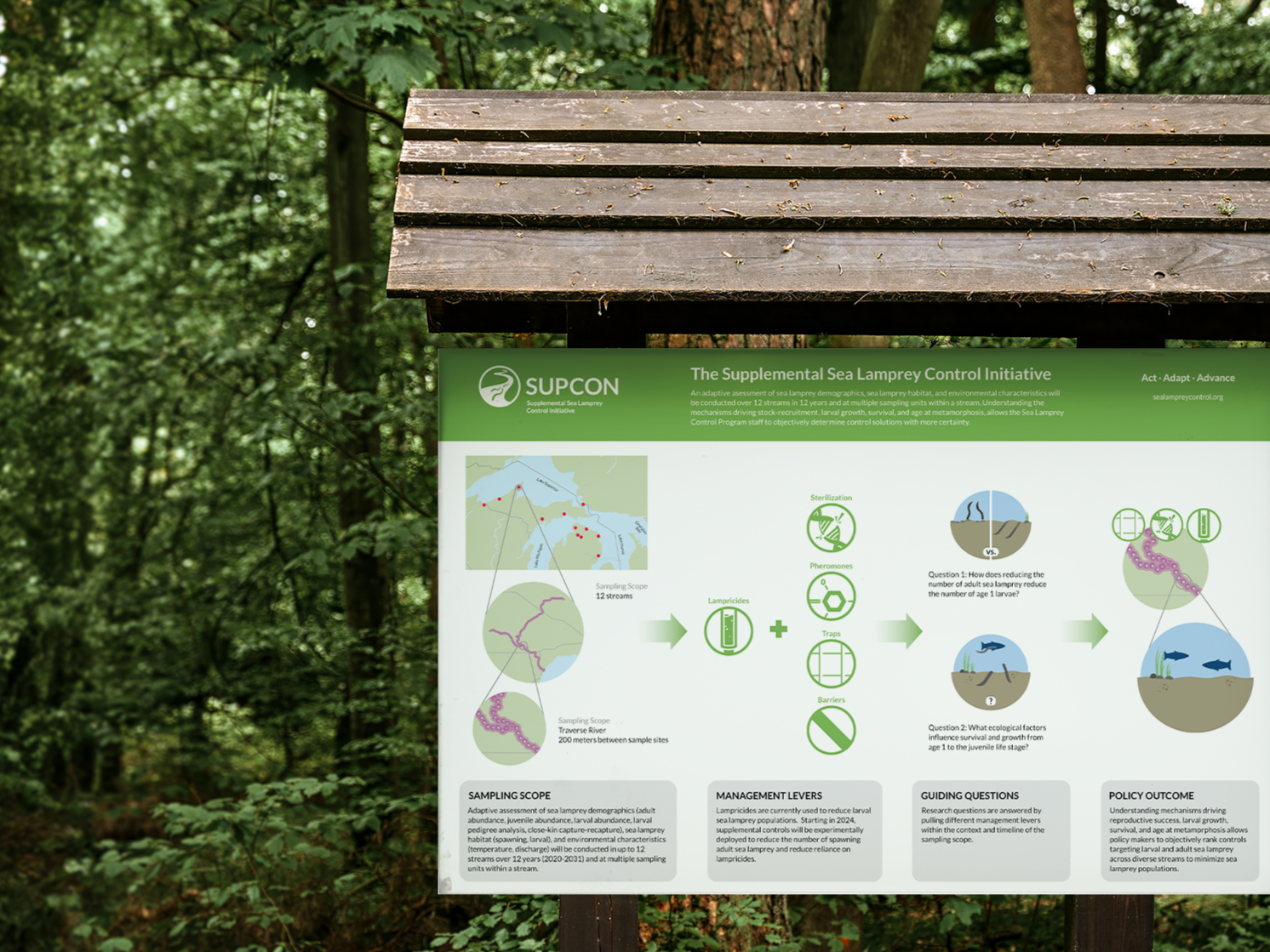 Reports & Infographics