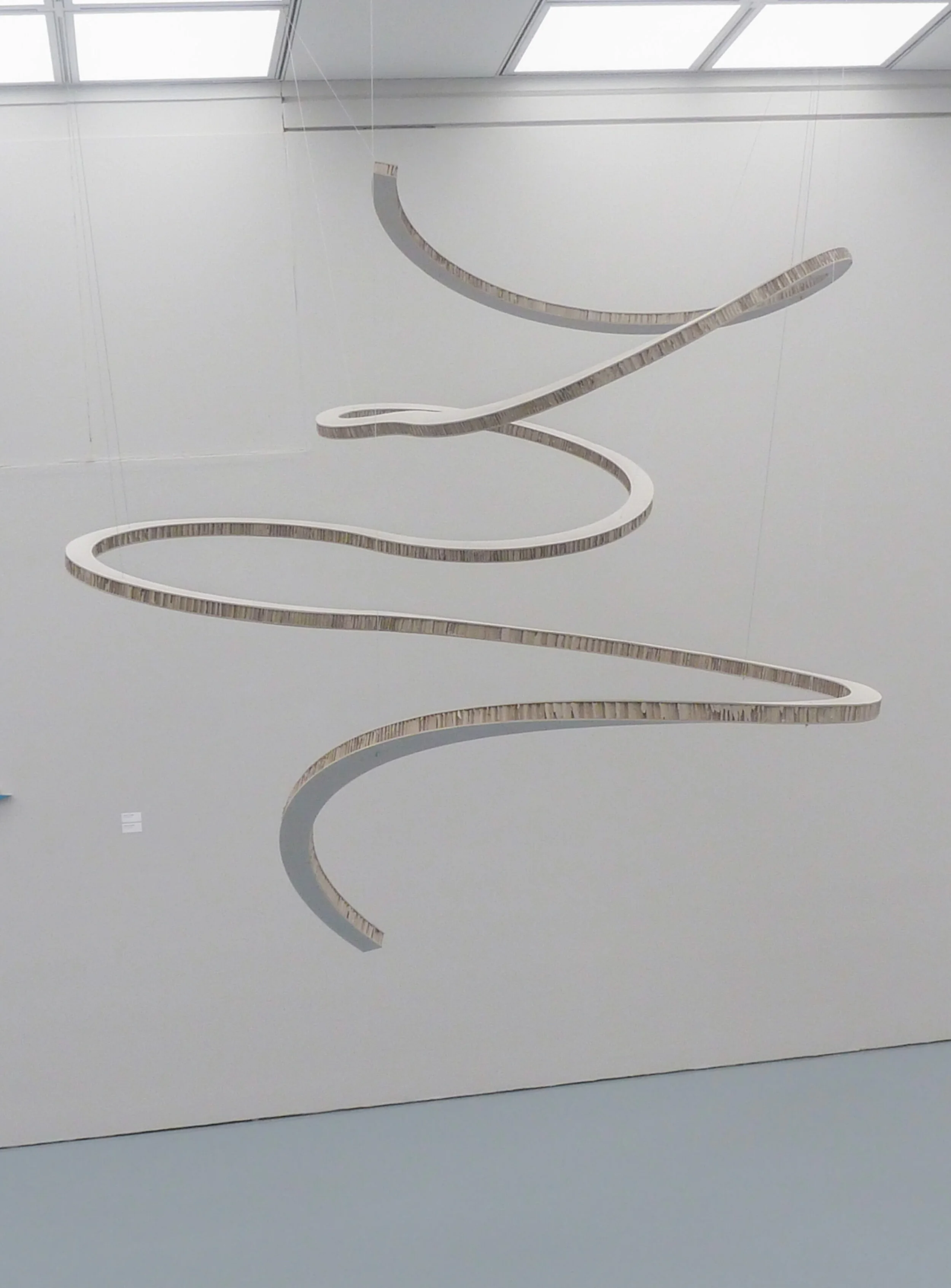 2014 Schlange Kunstpalast 1 MOD.jpg