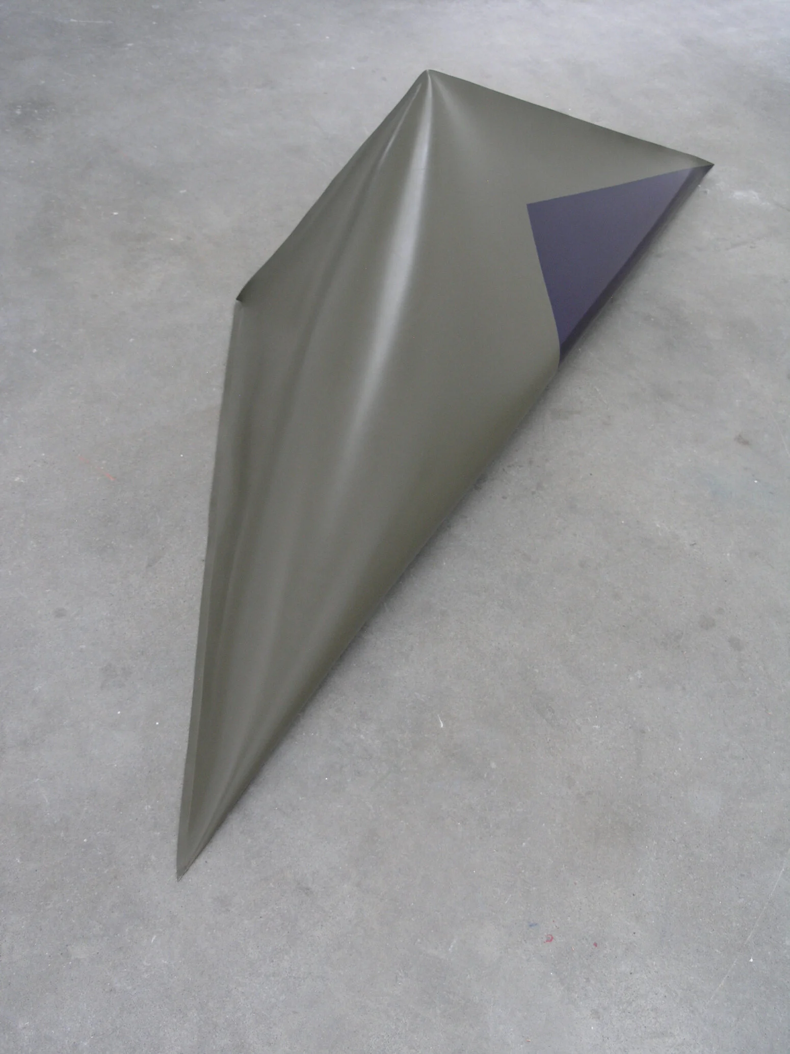 2013 Dicker Fisch_1_.jpg
