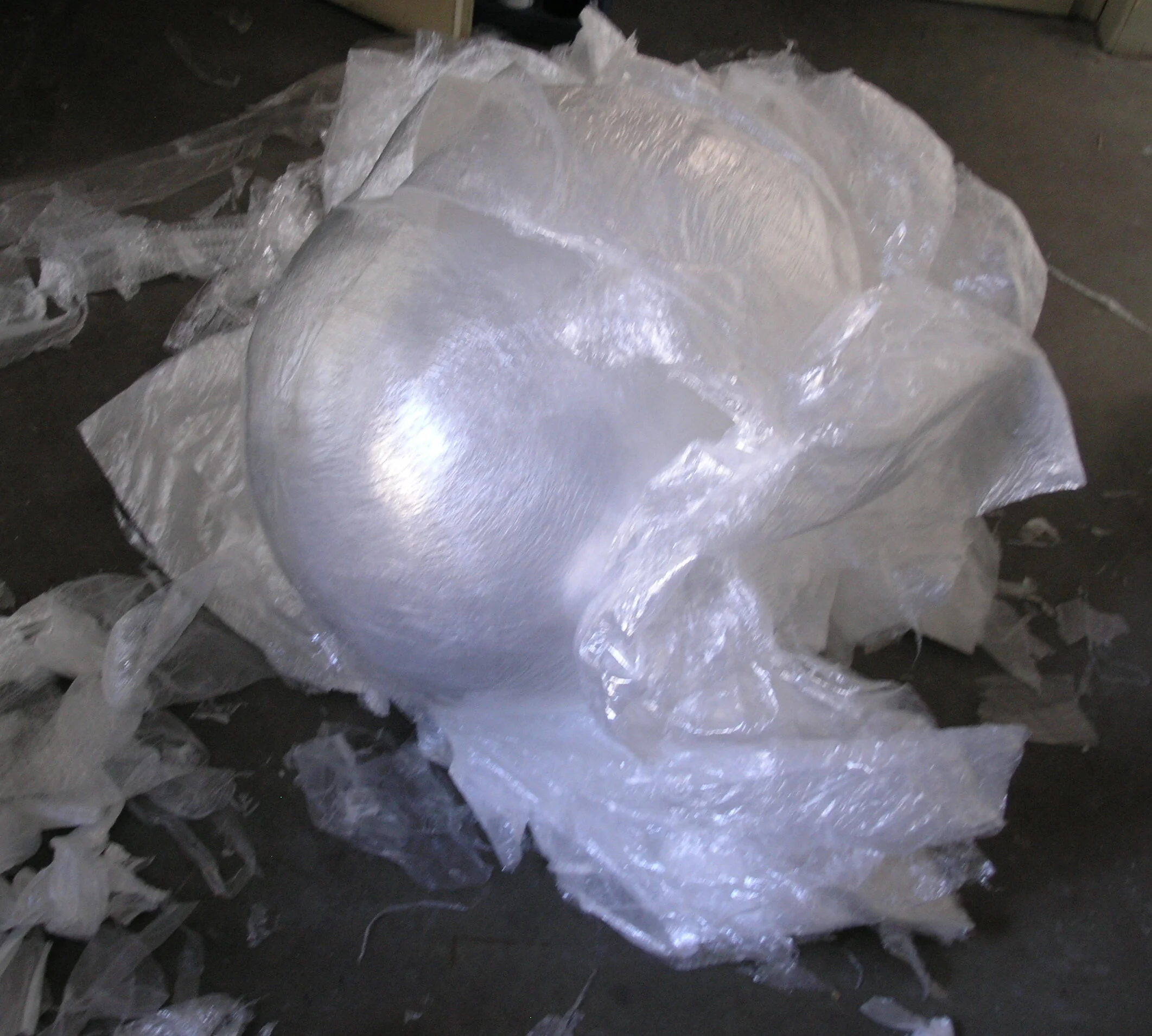 2010 Braut7.JPG