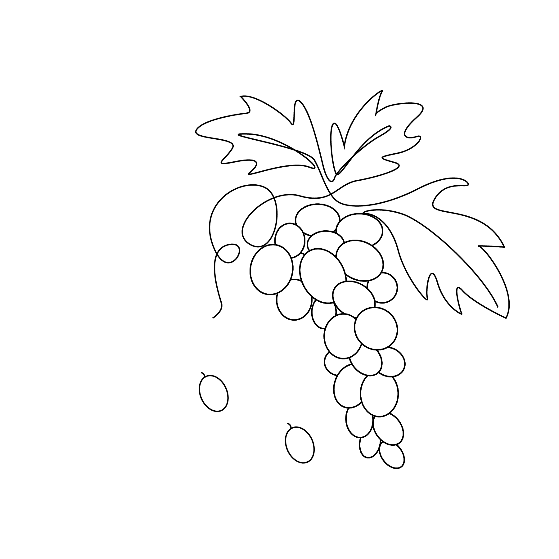 line drawing of bunch of grapes