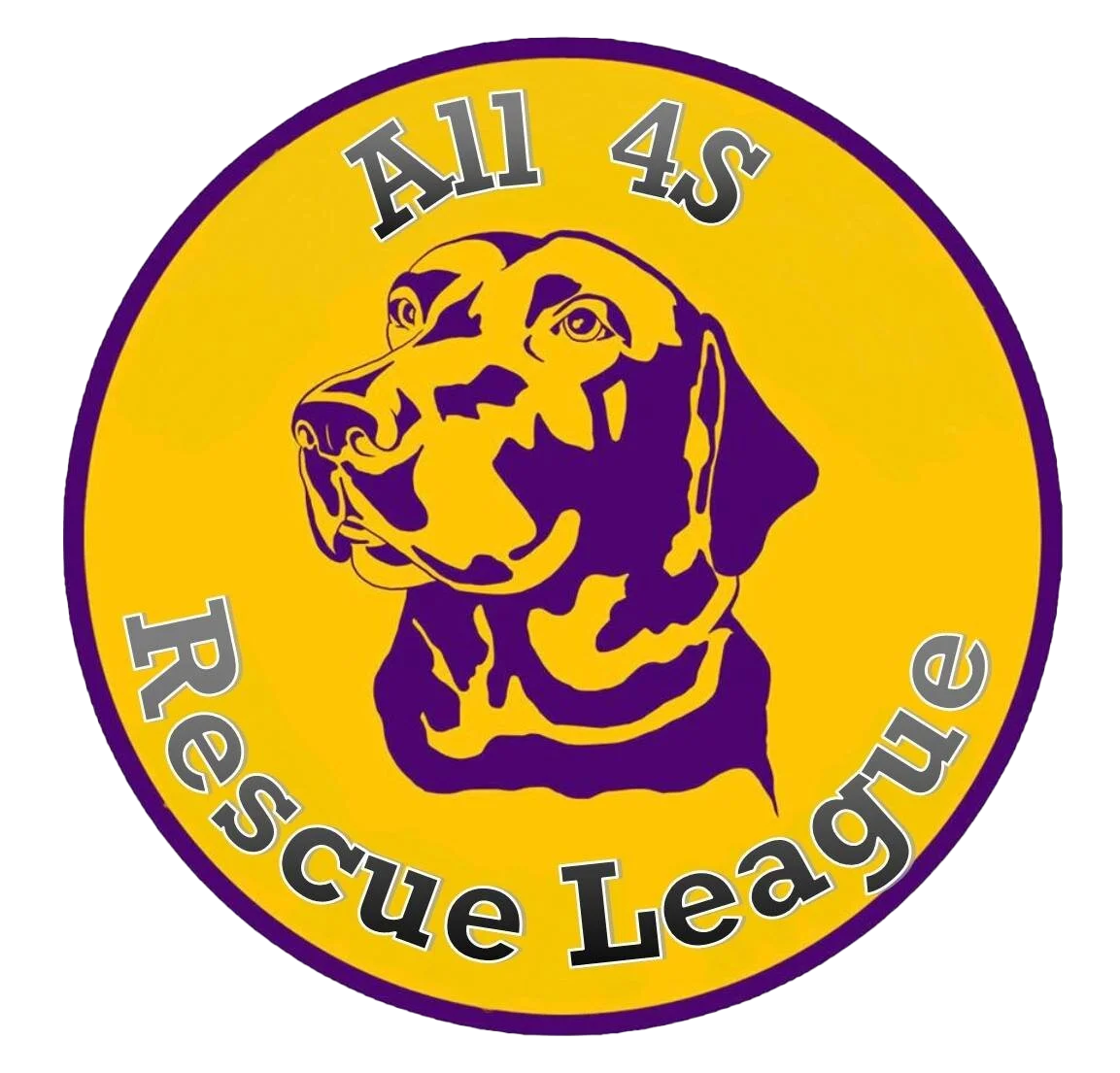 All 4s Rescue League