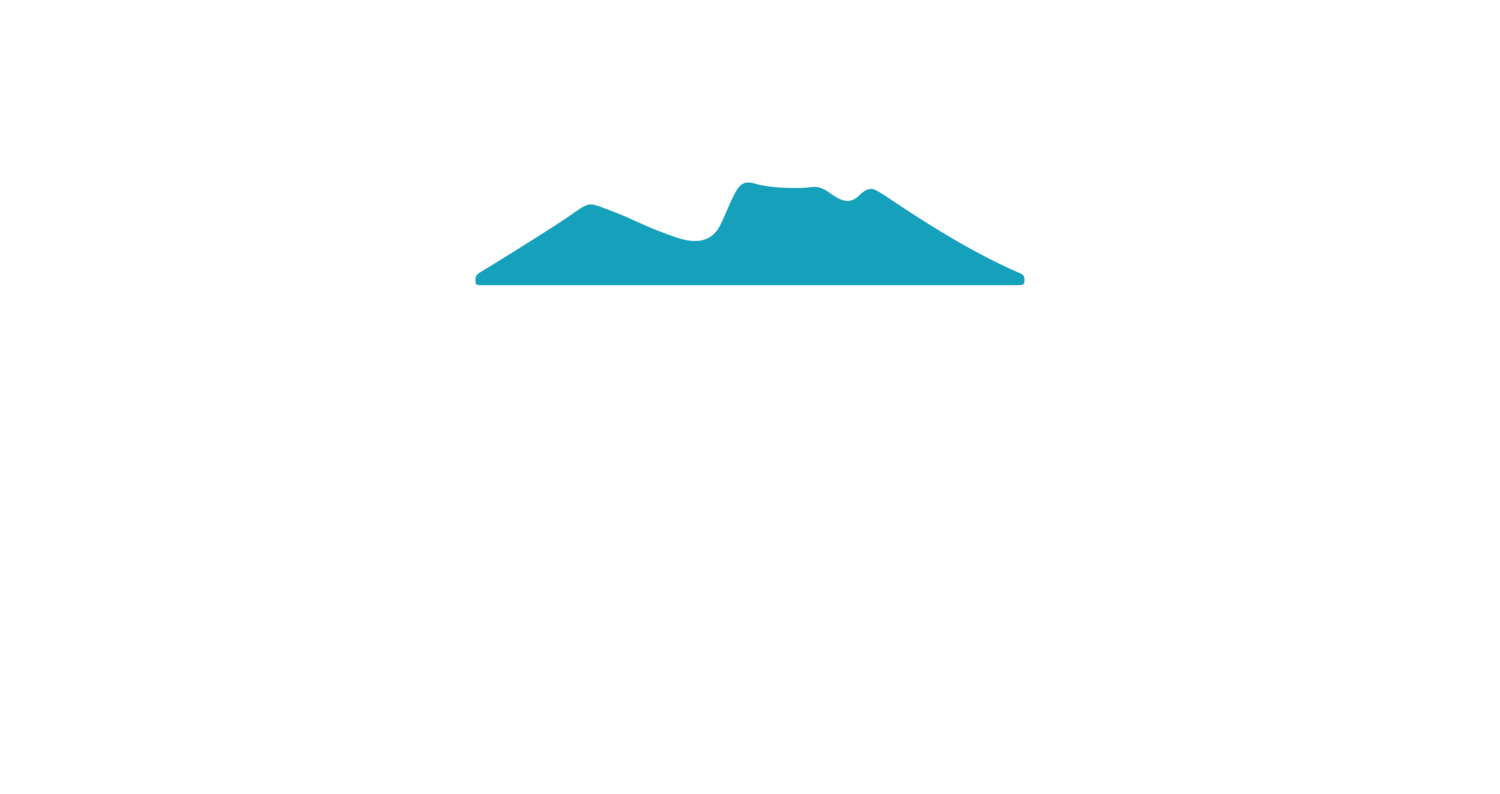 the contour collective