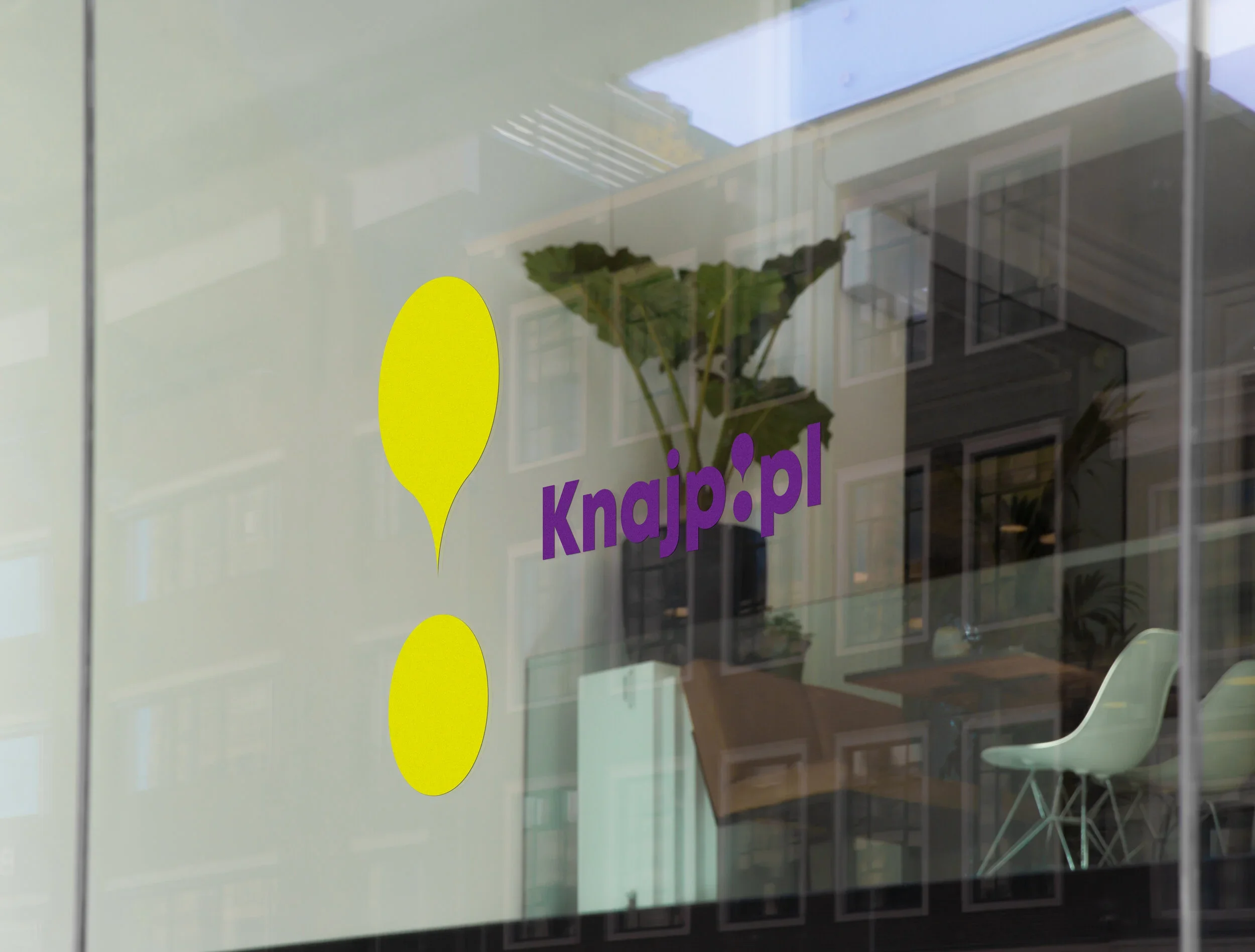 knajp.jpg.webp