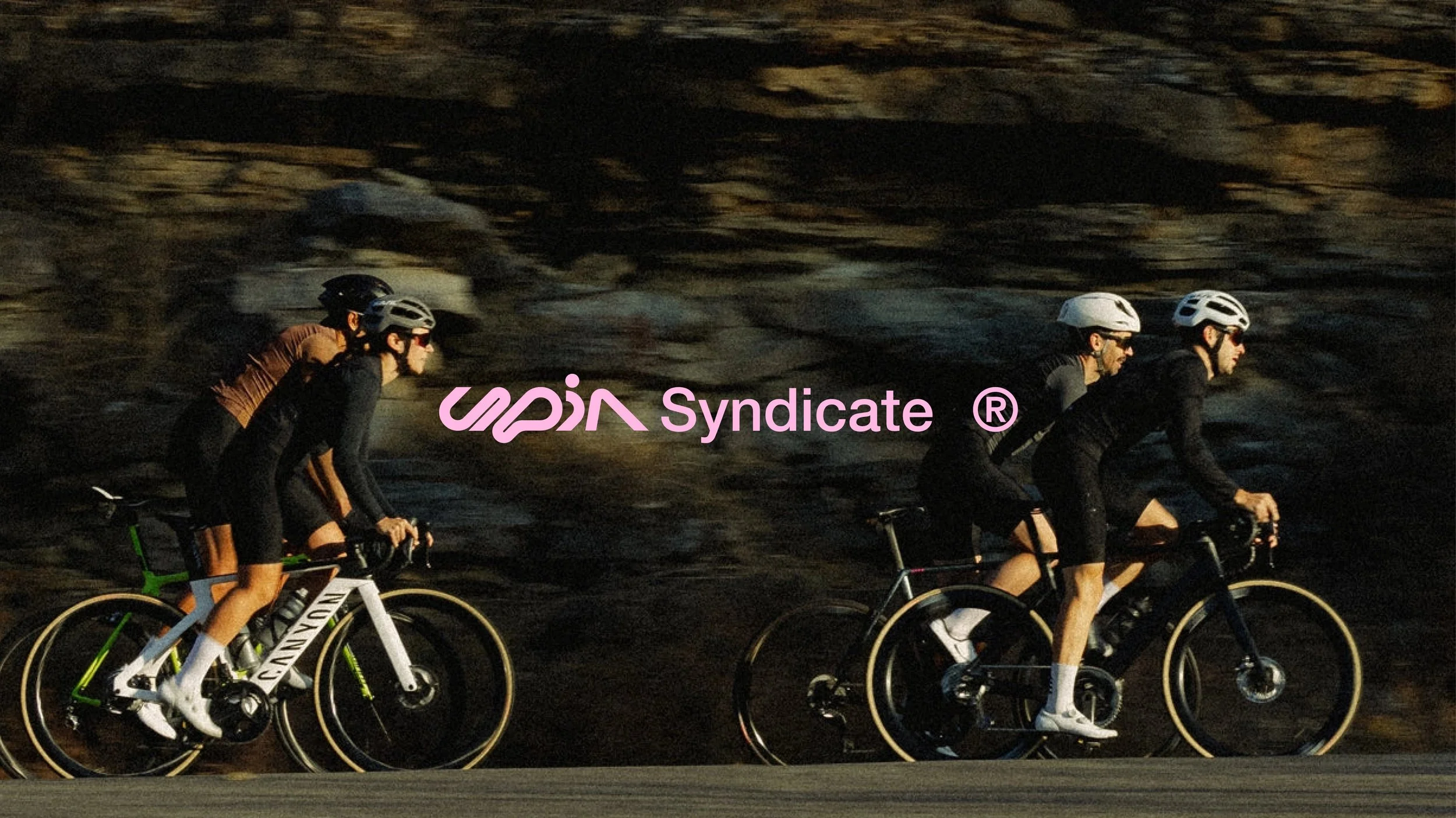 SPINsindicate_prezentacja3.jpg