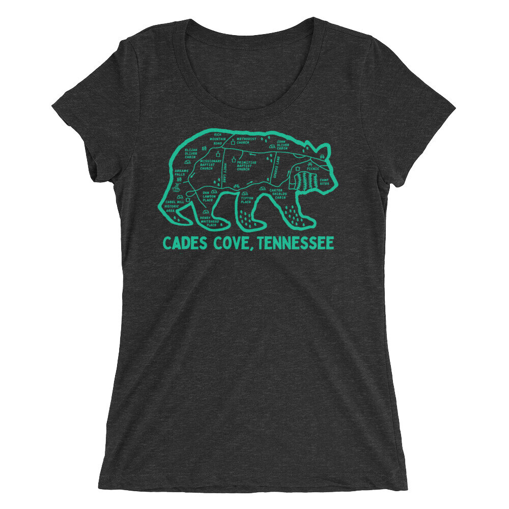 womens-tri-blend-tee-charcoal-black-triblend-front-604ad0ff9e1f4.jpg