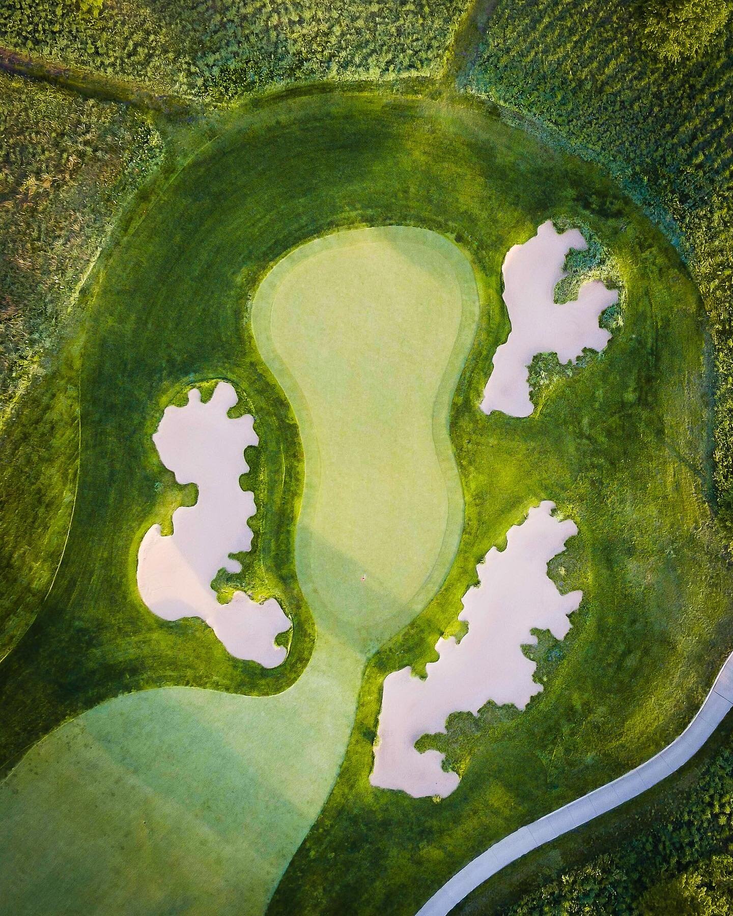 @arborlinks pays homage to Old World strategy, rewarding disciplined play with careful access to greens encased in an atlas of native rough and gouged-out bunkers. #GreensofDreams #Fore #dormienetwork