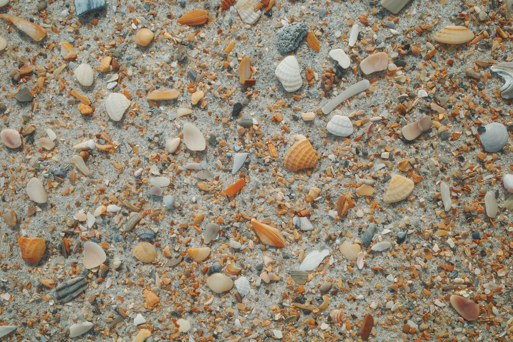 R0008370.jpg