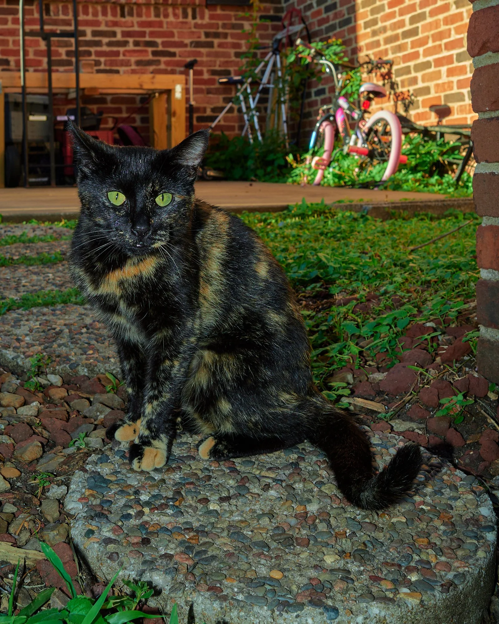 R0001013.jpg