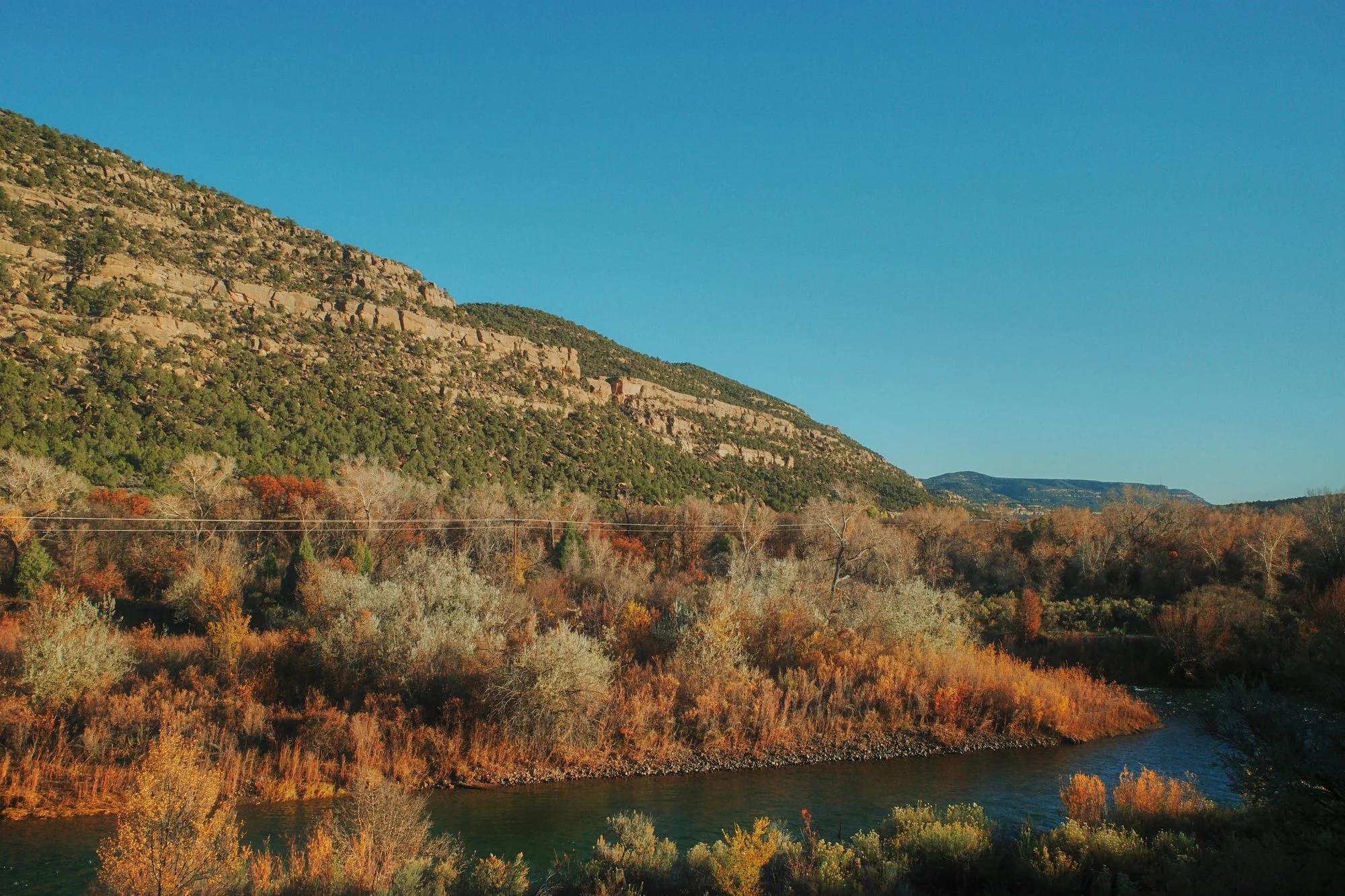 R0001794.jpg