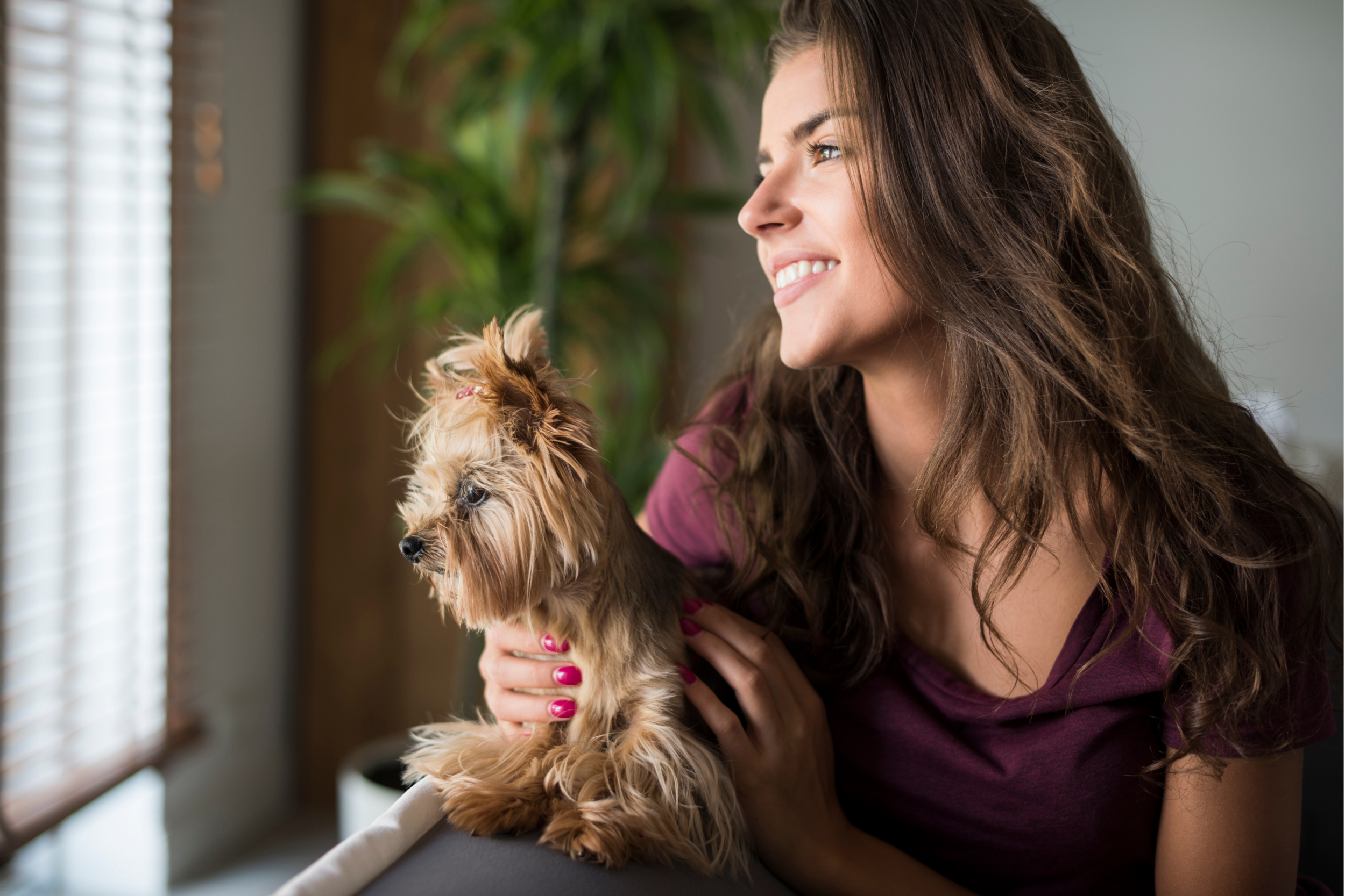 5 Reasons Why You Should Work In Petcare — PAWS AND PEBBLES