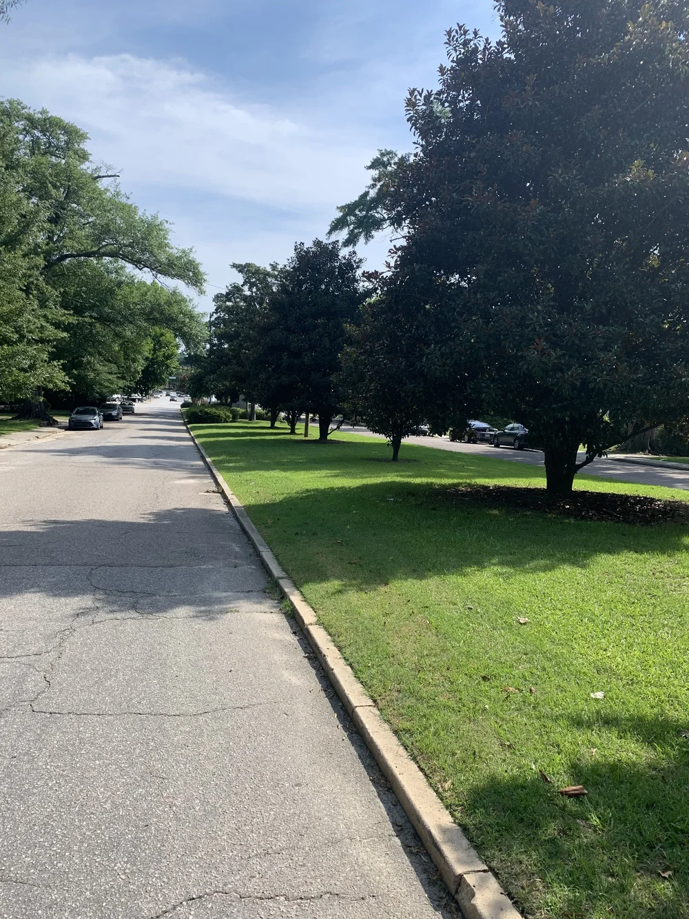 Saluda Landing 5 Points Newest Community