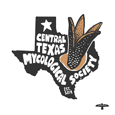 A Texas shaped logo featured a big mushroom