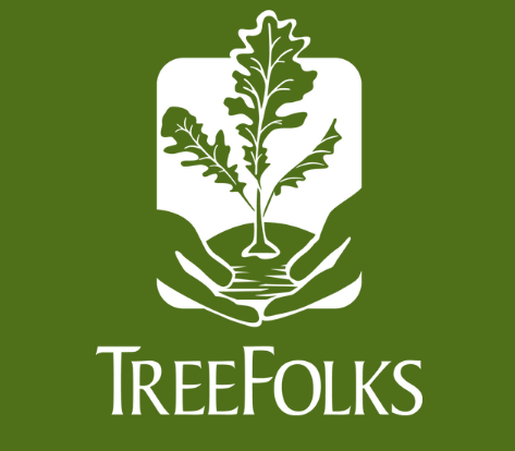 A pair of hands holding a tree