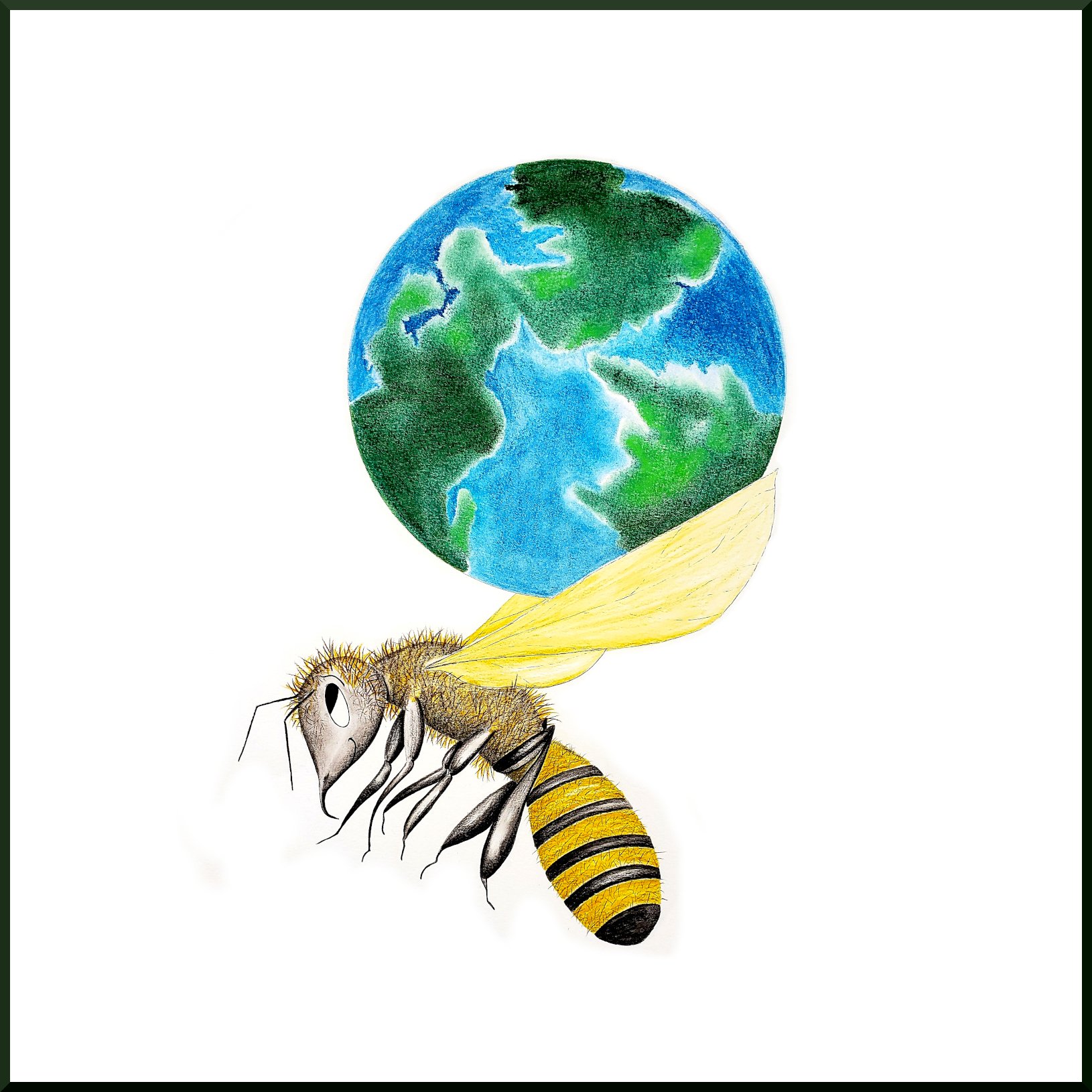 Layered Atlas Bee.jpg
