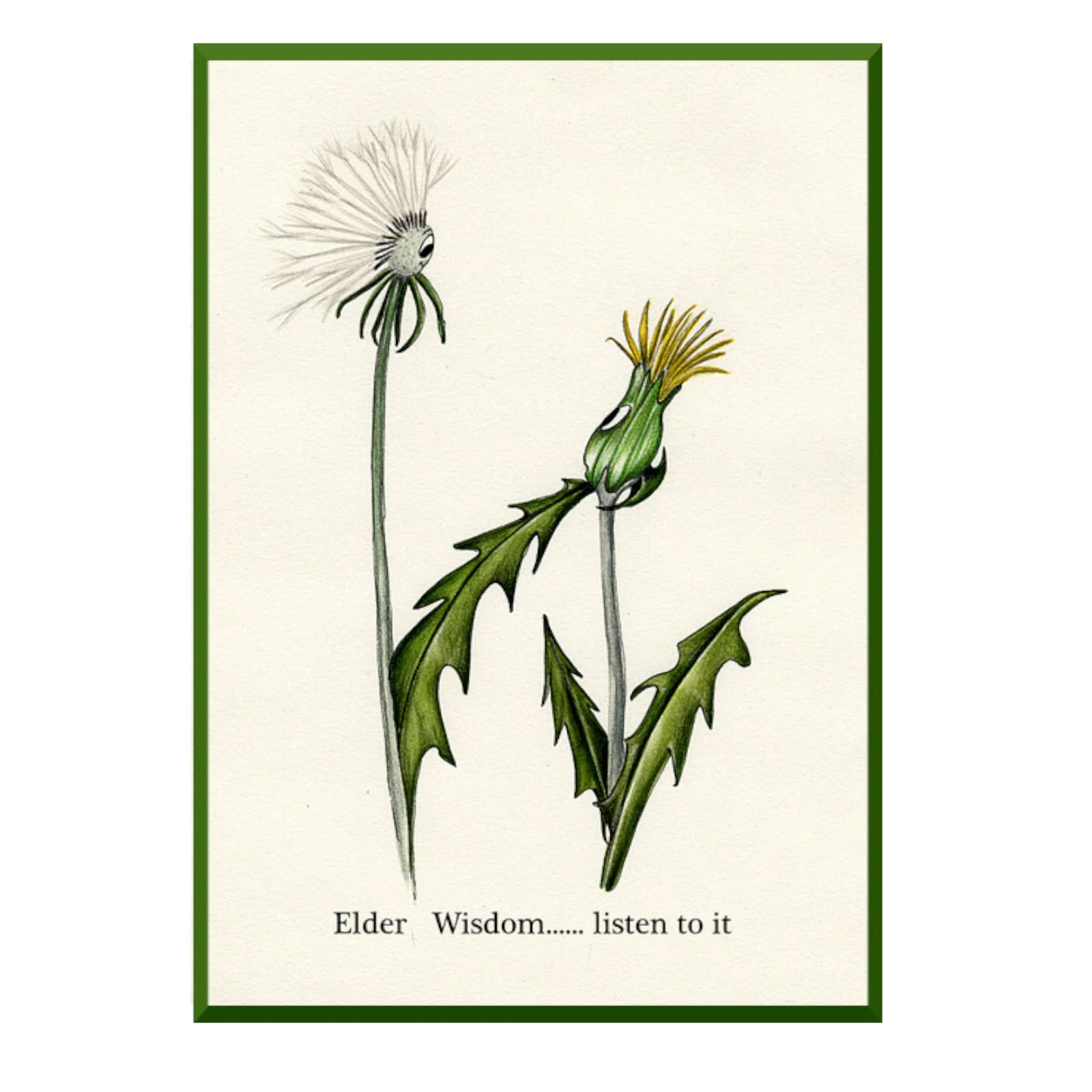 layered Elder Wisdom.jpg