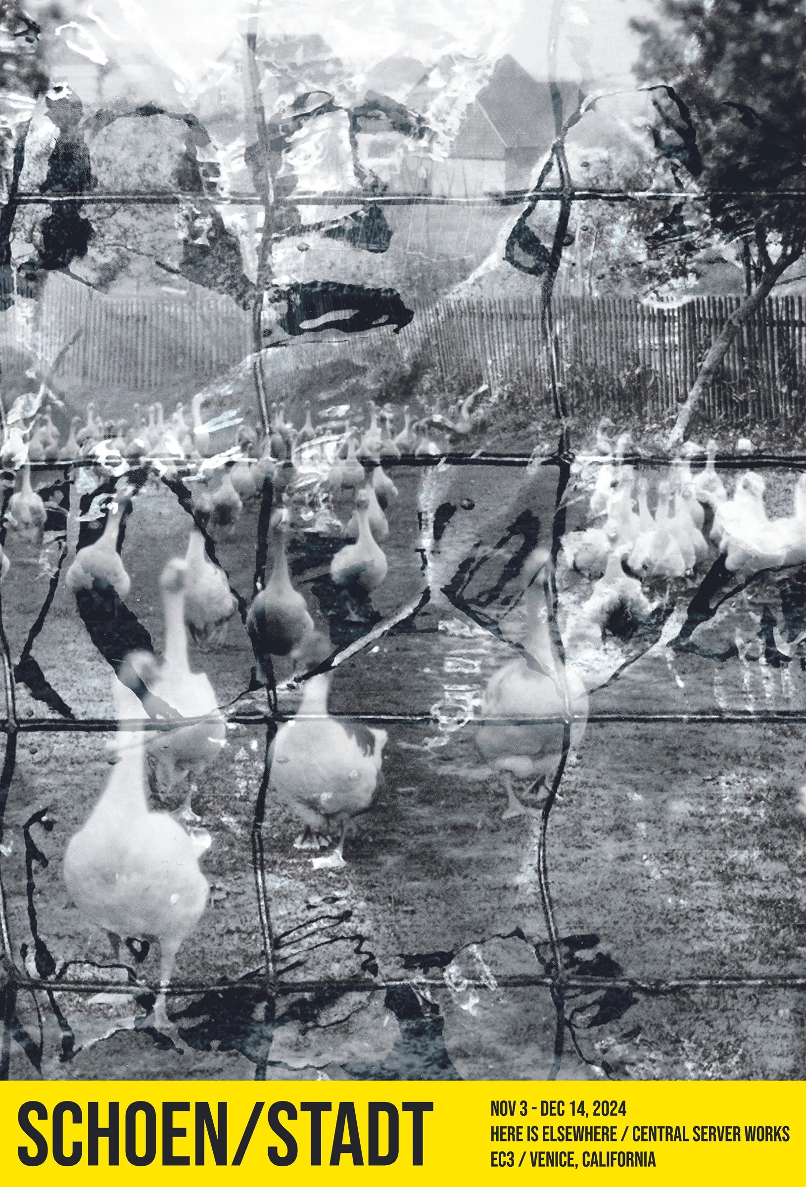 Schoen_Stadt_Poster_Geese_Final_Flat_1023.jpg
