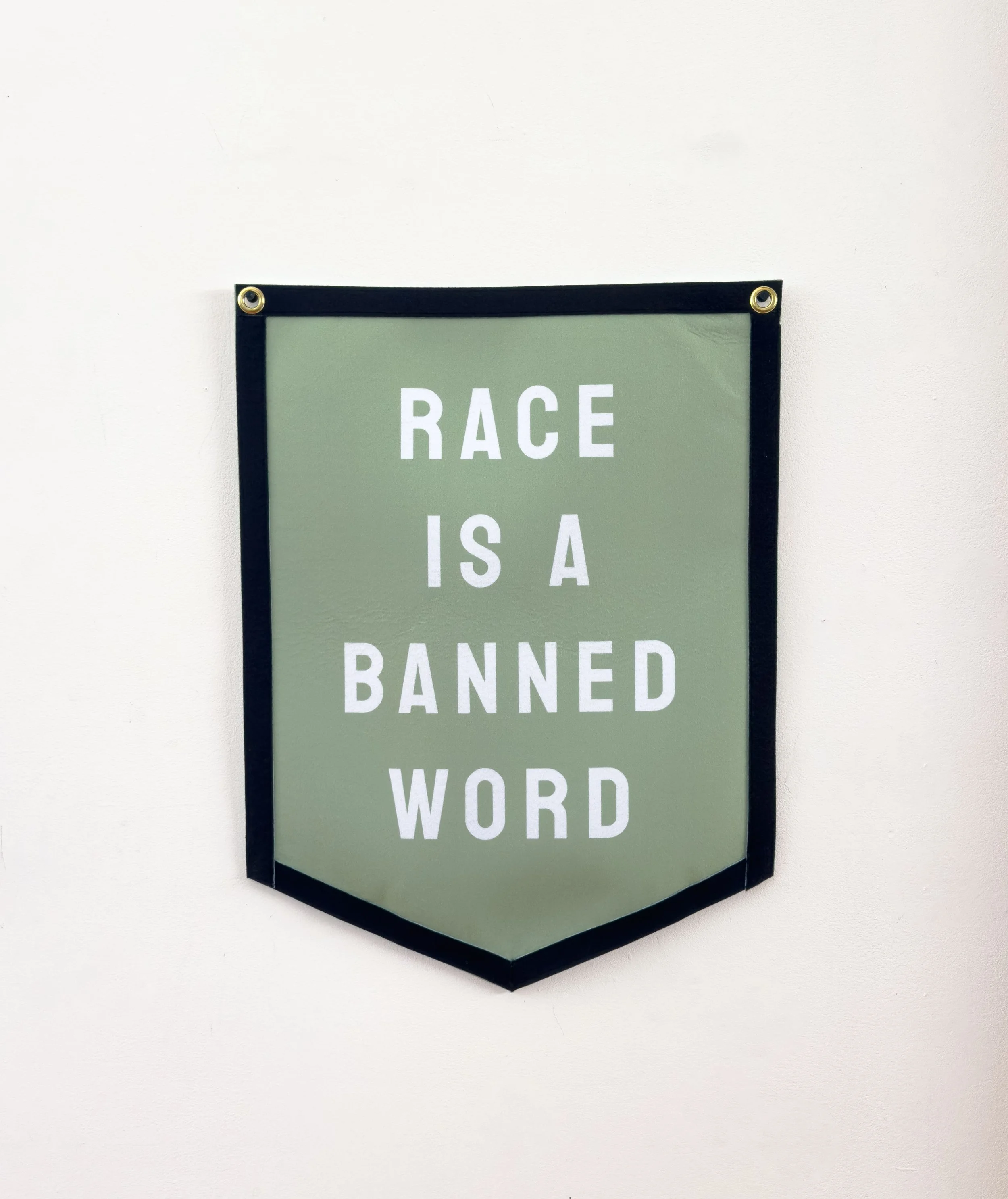 RaceIsABannedWord.jpg