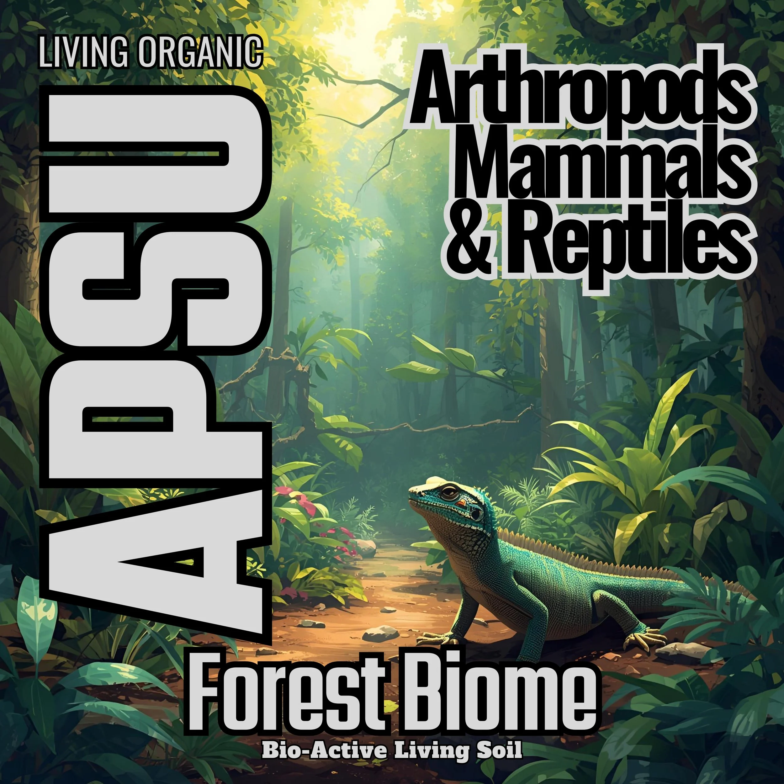 Moisture-balanced woodland substrate with organic structure for burrowing species, live plants, and thriving microfauna.