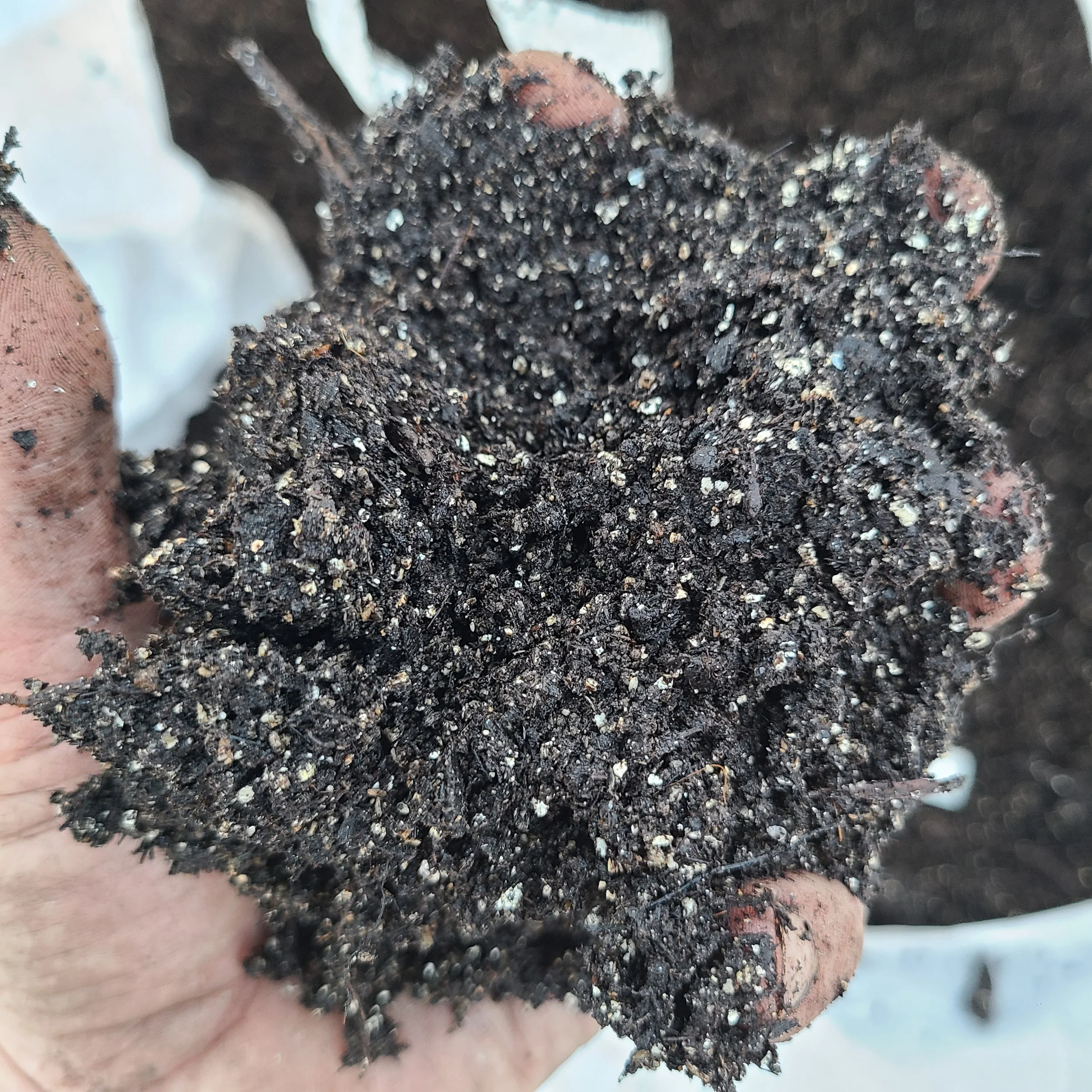 SuperSoil™ – Seed to Harvest