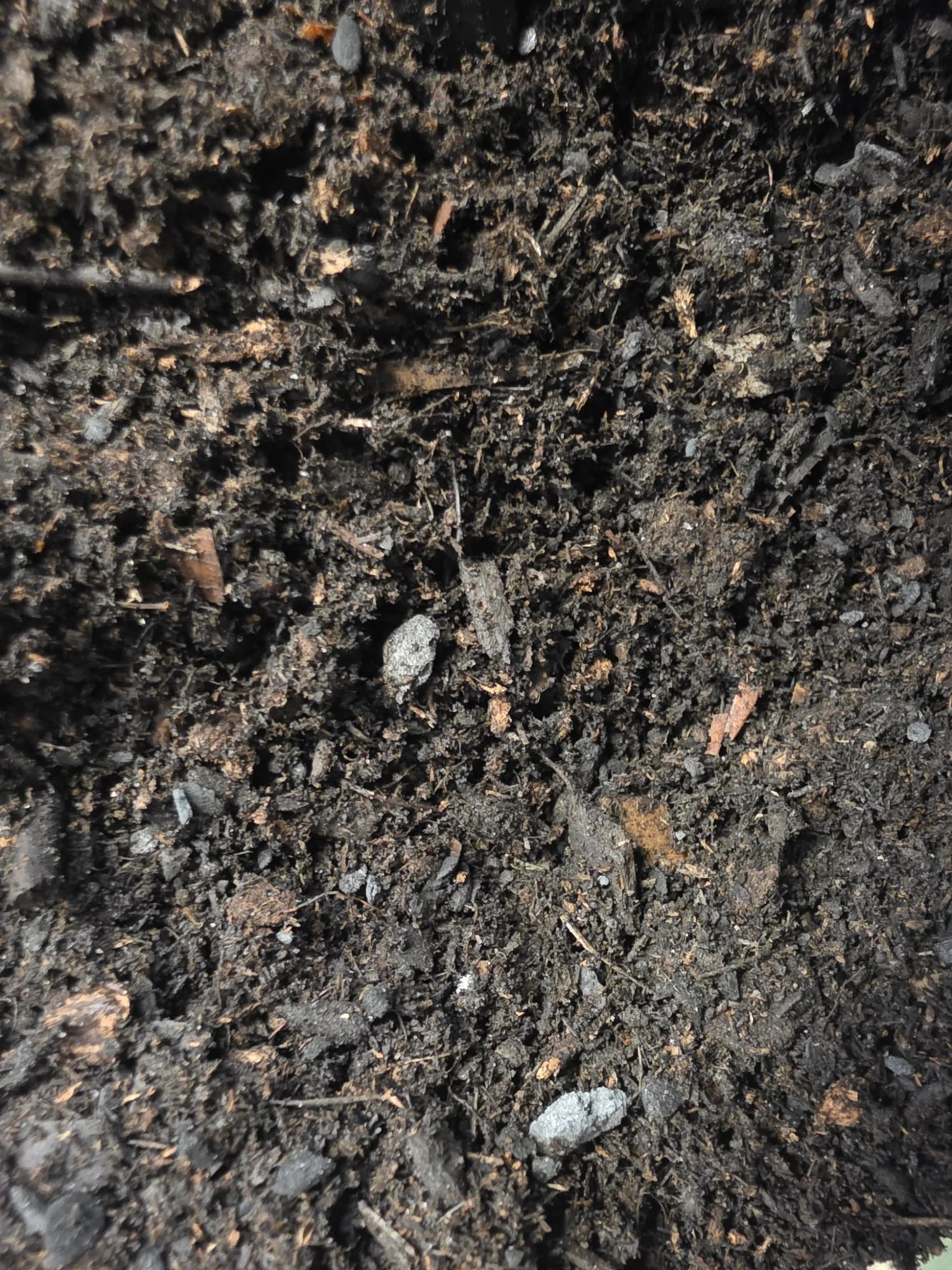 ForestBiome™ – Temperate Woodland Habitat Soil