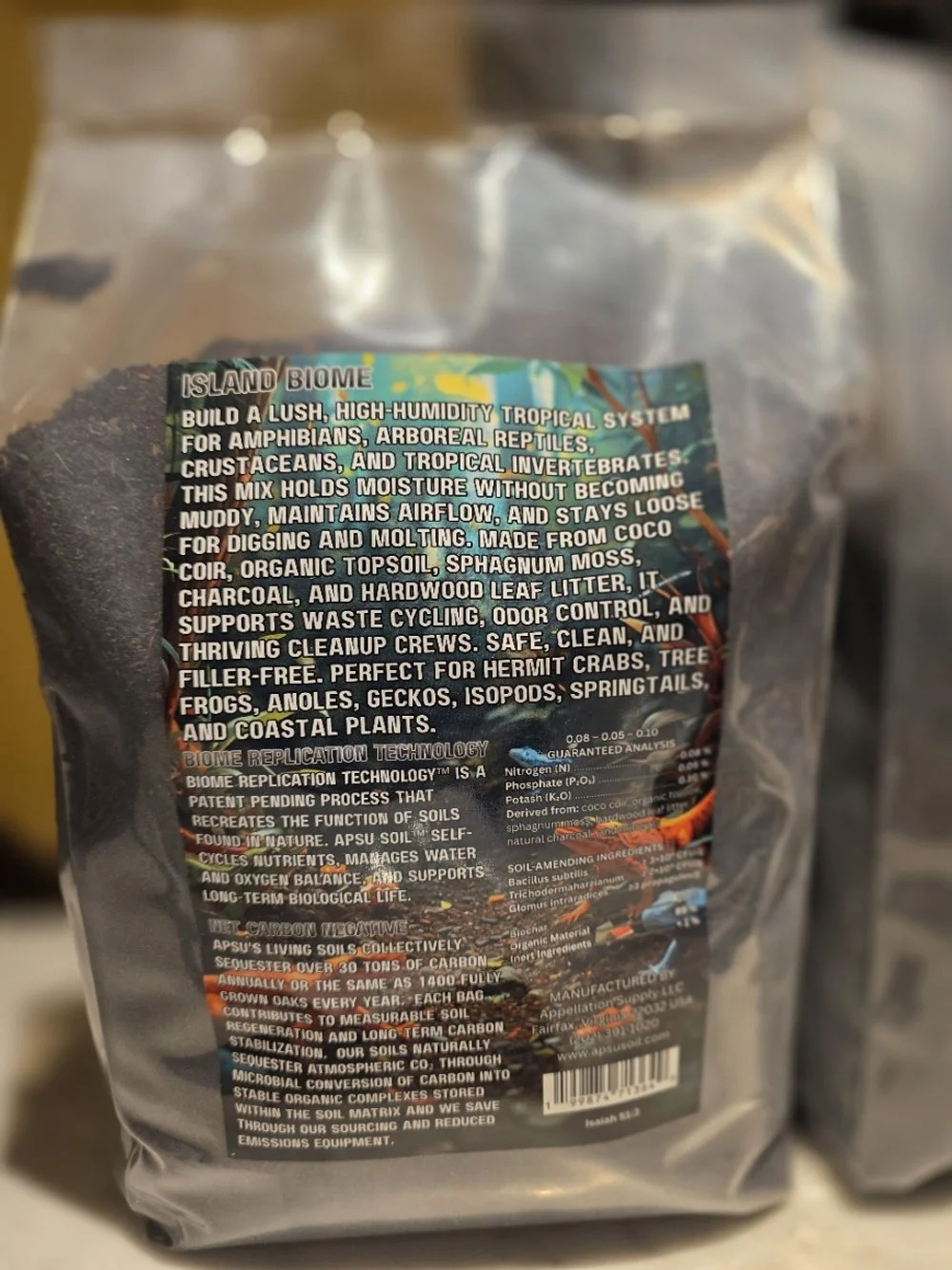 island biome back.jpg