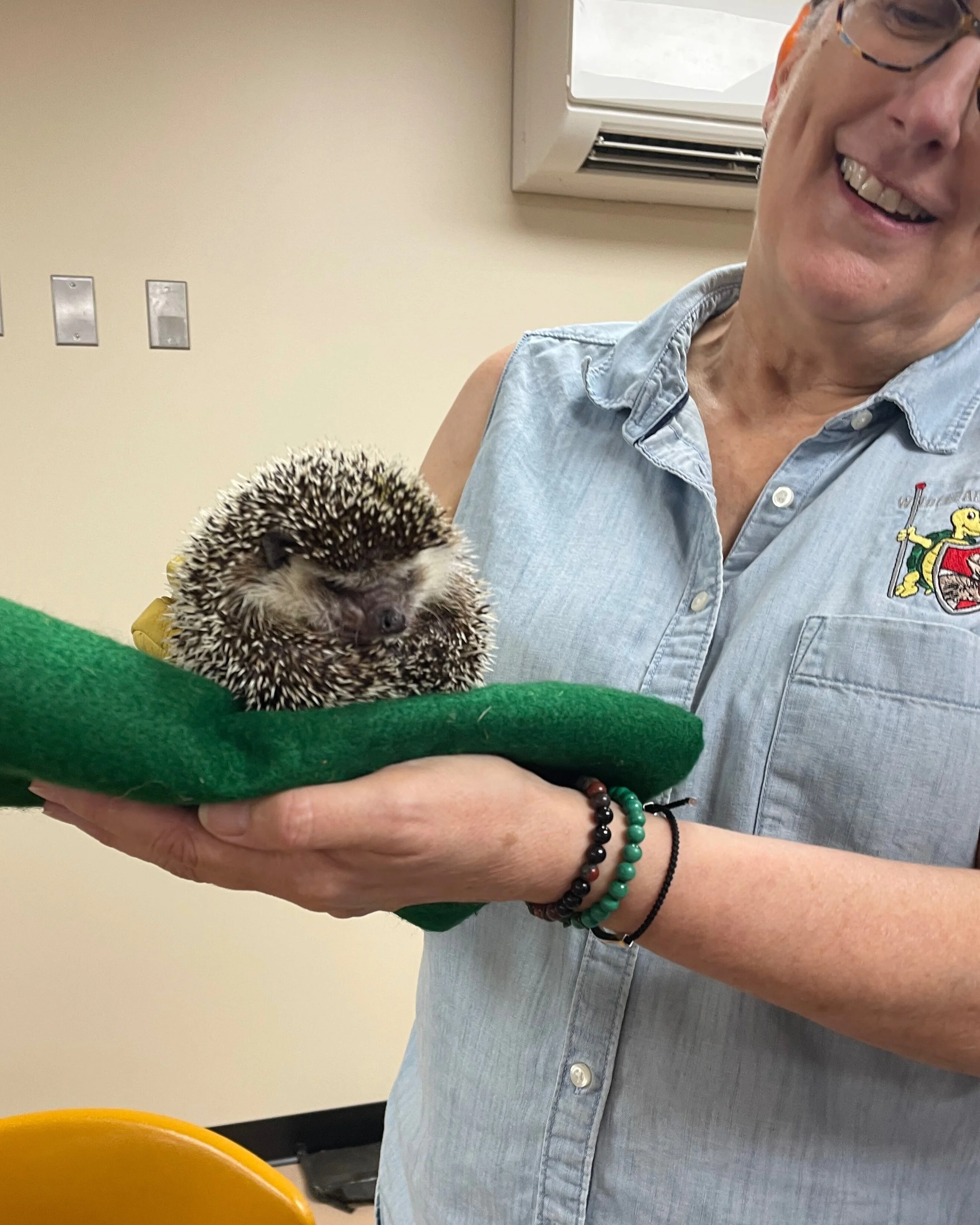 Handler with a porcupine. 
