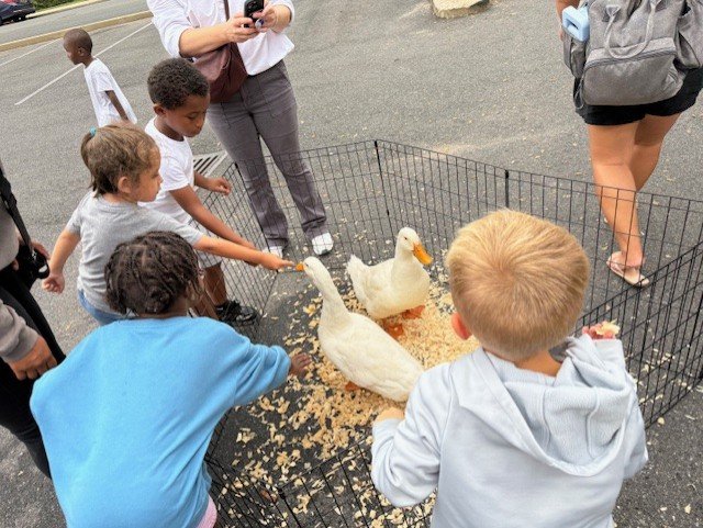 Children feeding geese. 
