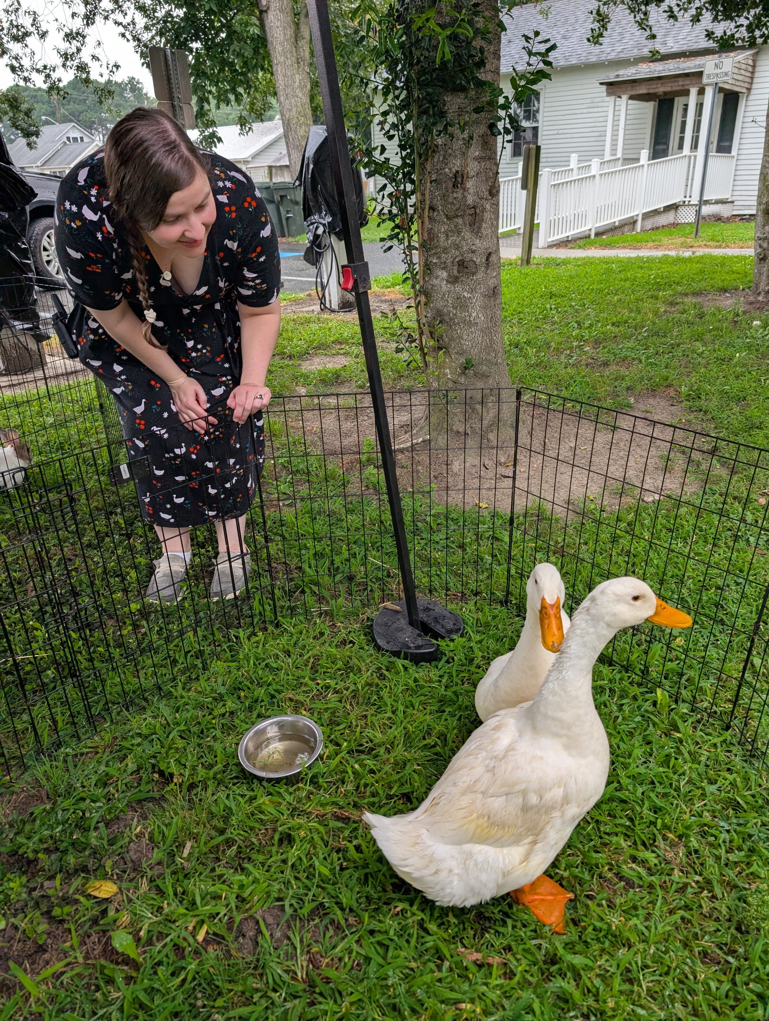 Children's librarian looking at two gooses. 