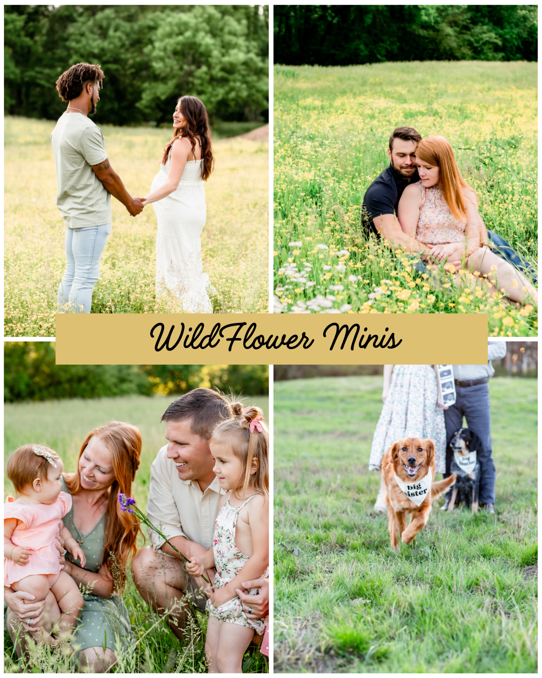Collage of four photos taken in a grassy field with wildflowers, featuring different couples and families. The main text overlay reads 'Wildflower Minis'.