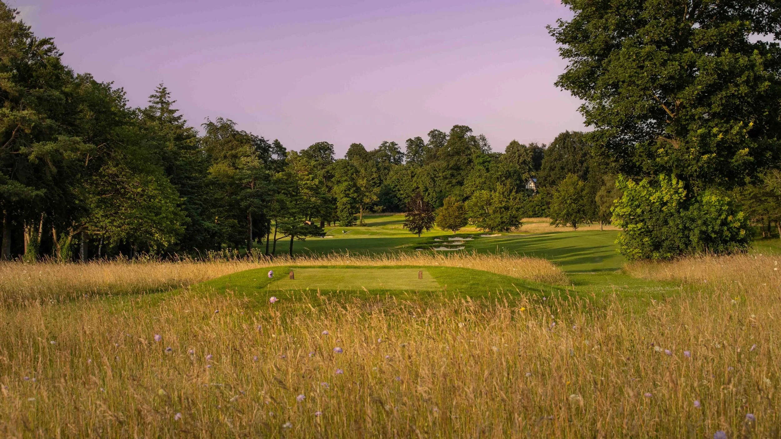 Harry Colt Cup — >Effingham Golf Club