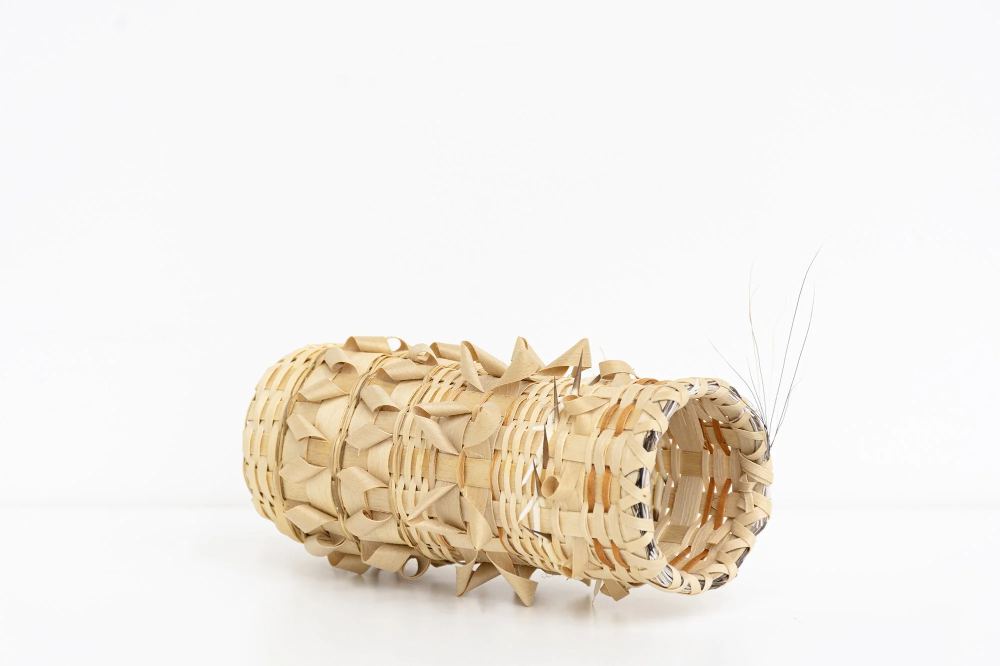 Ursula Johnson, For James, 2025. Black ash, sweet grass, commercial dye, birch bark, porcupine quill, porcupine hair. 6 x 3 x 2.25 inches.