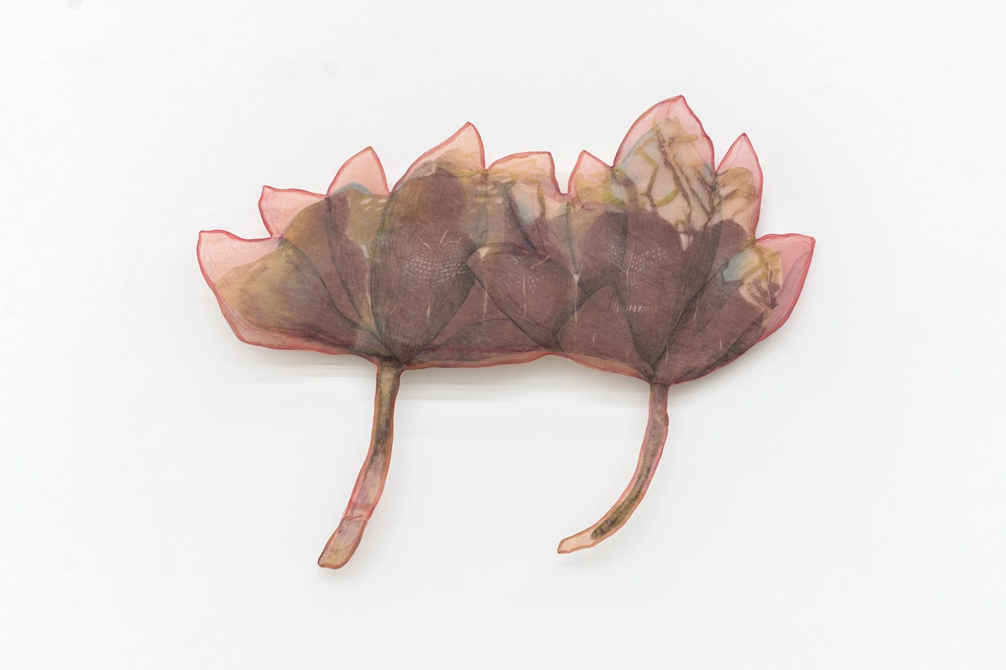 Yujia Shi,   Double Lotus   2026. Cochineal dye and marker on cotton organdy, silk organza and felt.