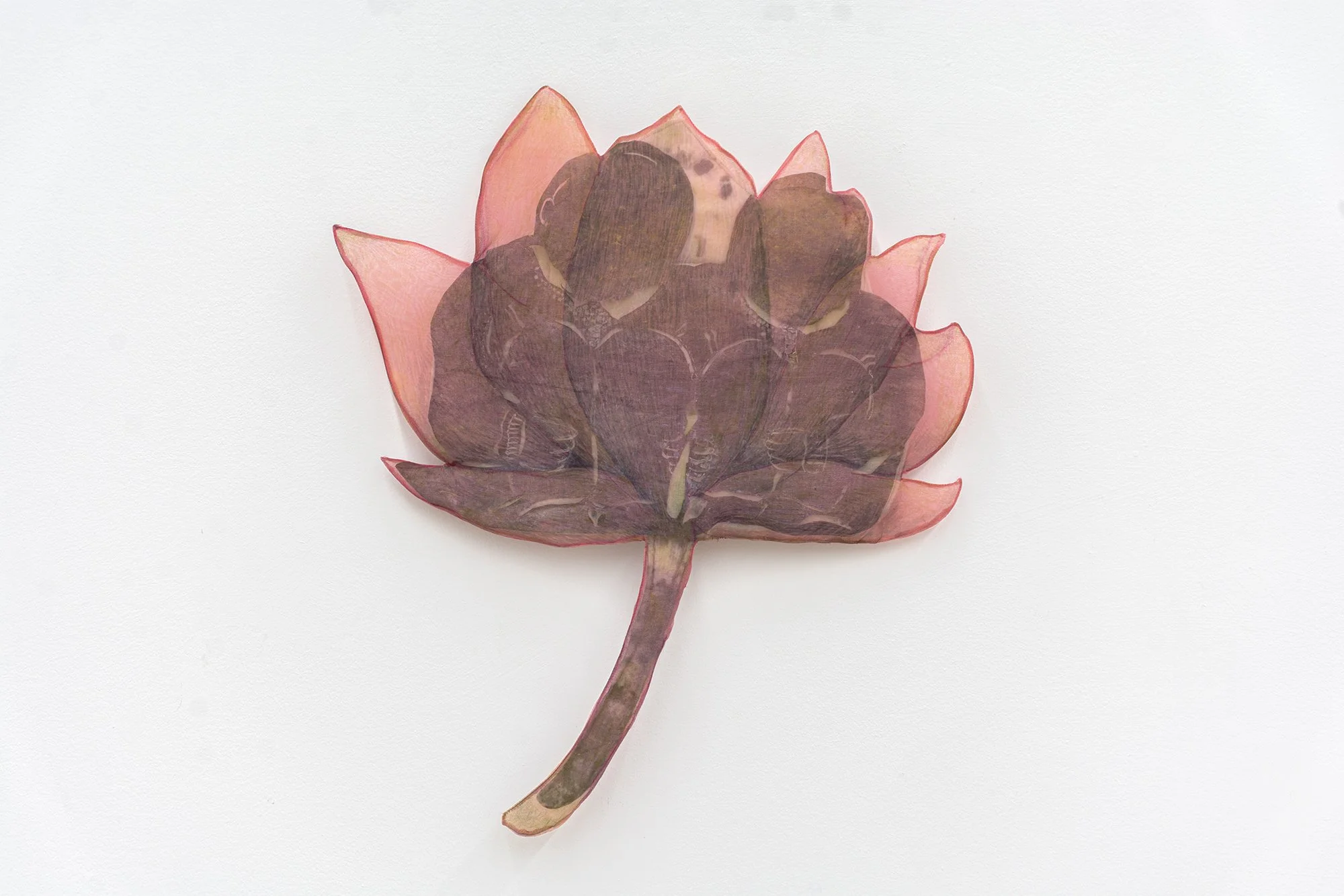 Yujia Shi,   Morning Regiment, Lotus   2025. Cochineal dye and marker on cotton organdy, silk organza and felt.