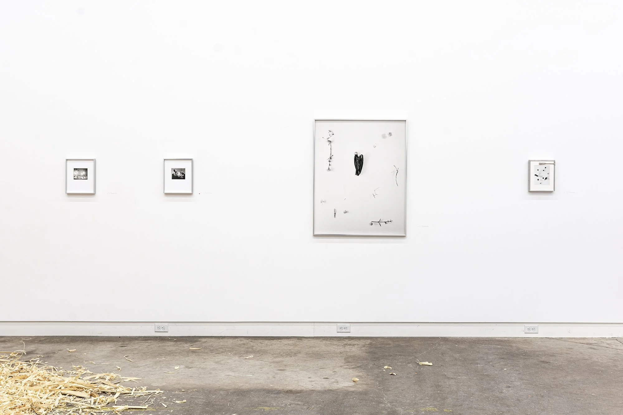 Installation view of B. Brookbank photographs in   Pieces.  