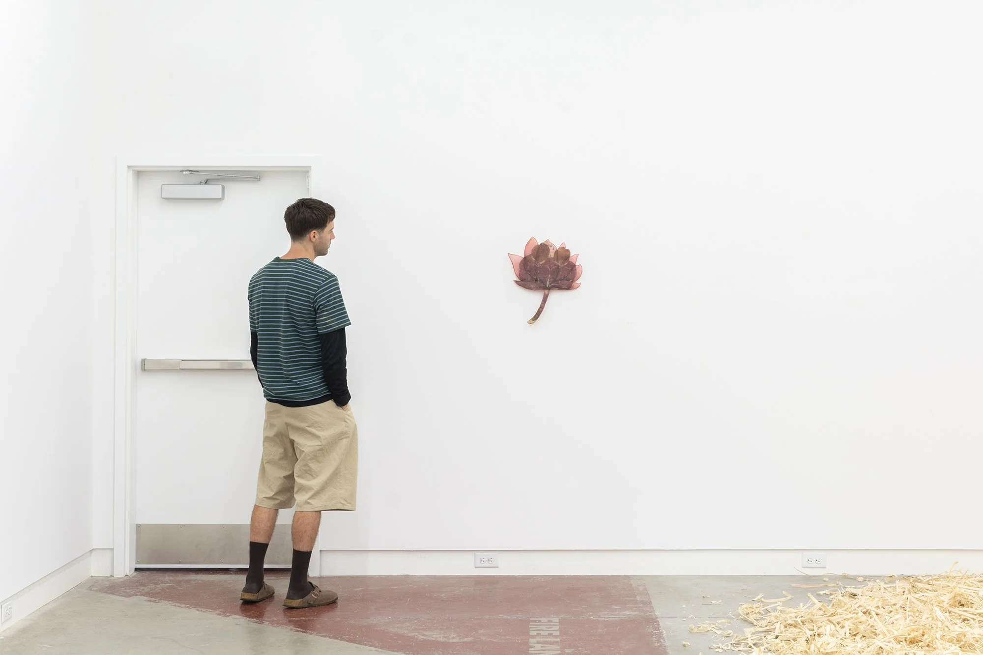 Installation view of Yujia Shi,   Morning Regiment, Lotus   2025. Cochineal dye and marker on cotton organdy, silk organza and felt.