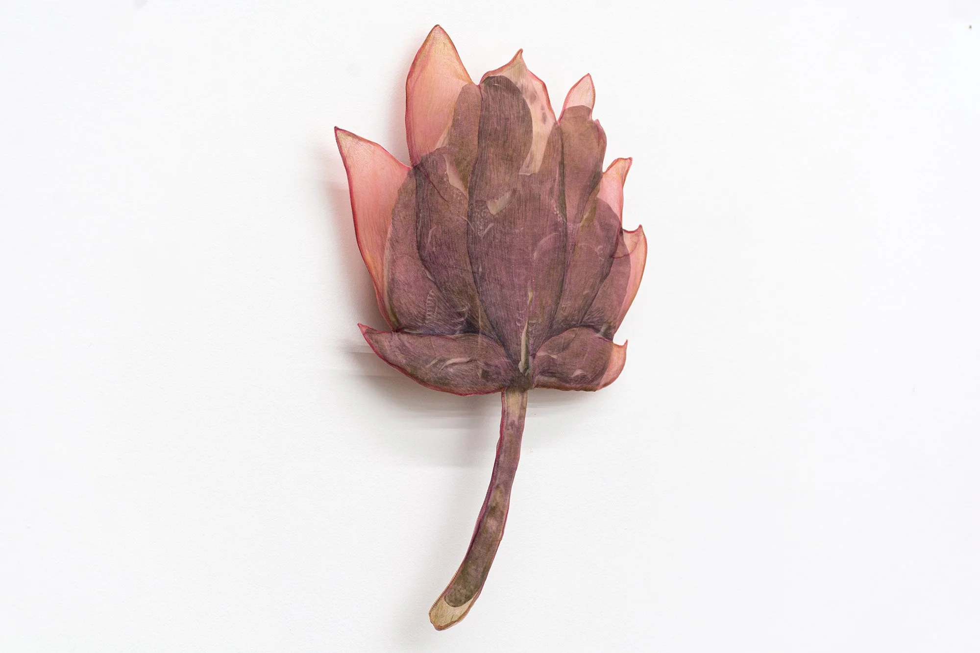 Yujia Shi, Morning Regiment, Lotus. 2025. Cochineal dye and marker on cotton organdy, silk organza and felt. Approx. 15 x 17.5 inches.