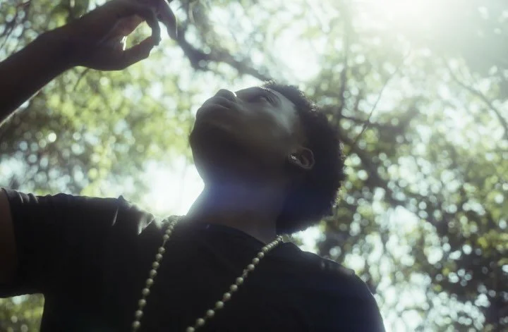 Anaconda - @khankuh 
⋆
Dir, S/E, Vfx, Titles, Color : 🧝🏻
3D: @jeddlingo 
⋆
#musicvideodirector #etherealaesthetic #ethereal #musicvideoshoot