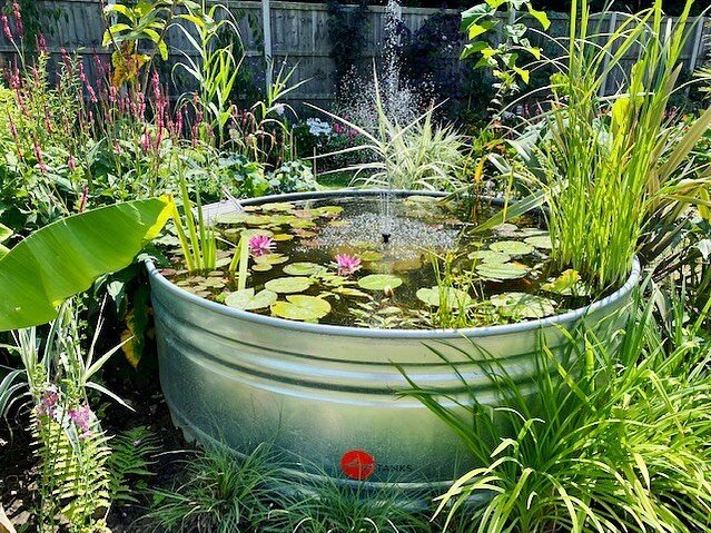 Absolutely love it when our customers send us images of how they are using their Diptanks 🐠🌸 
This pond looks wonderful, what lucky fish!

#gardenpond #diptanks #britishgarden #fishpond #nature #gardeninguk #pondlife #gardeningideas