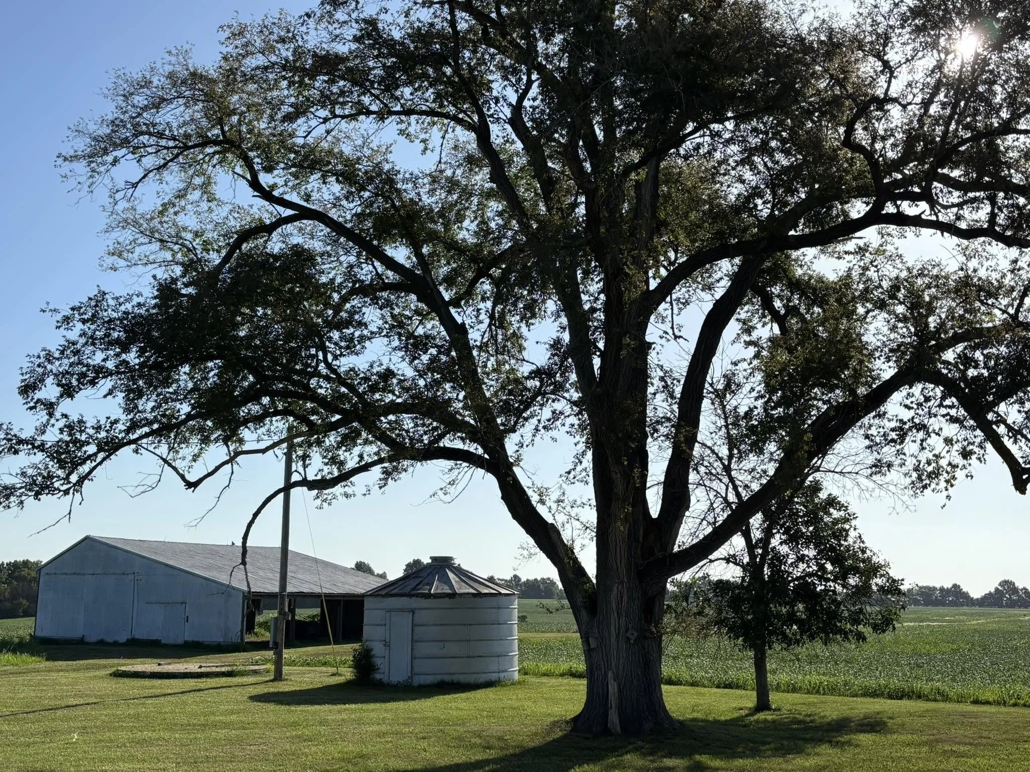 4-farm.jpg