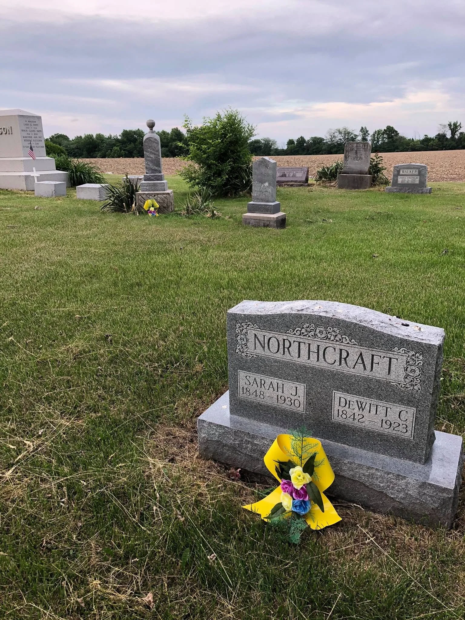 46 farm.jpg