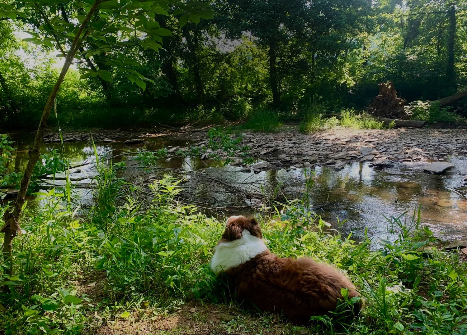 Buck Creek Sanctuary