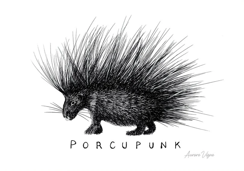 Porcupunk.

The art print features a porcupine wearing metal implants on the back and a silver piercing in the nose. The form of his spikes reminds the Mohawk hairstyle, accessories and haircut popular in the Punk style. The tittle « Porcupunk" confi