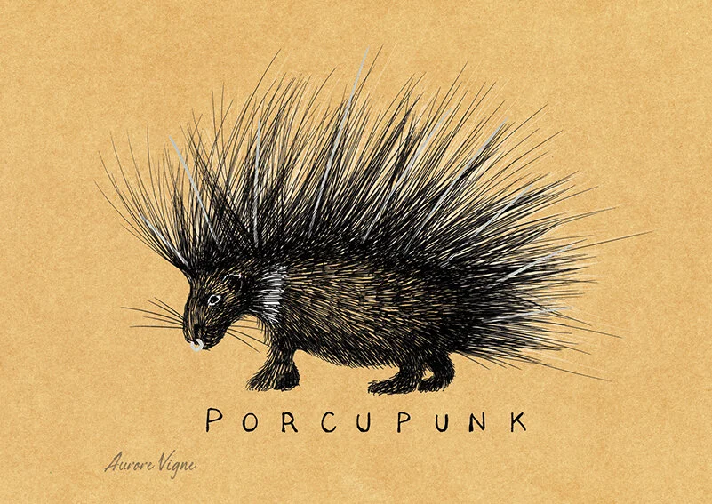 Porcupunk

The art print features a porcupine wearing metal implants on the back and a silver piercing in the nose. The form of his spikes reminds the Mohawk hairstyle, accessories and haircut popular in the Punk style. The tittle « Porcupunk" confir