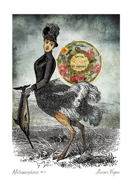 Metamorphosis #1

The art print features a woman ostrich, a kind of mythological character dressed like in the 19th century… 
This illustration comes from my collection of 4 "Tribute to Jules Verne".
©AuroreVigne