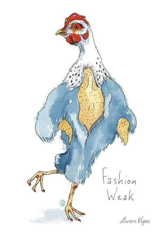 Fashion weak

The art print features a hen walking like a fashion model on a catwalk.
The chicken is wearing a blue fur coat and her finger nails are painted…
The illustration title evokes fashion addiction.
©AuroreVigne