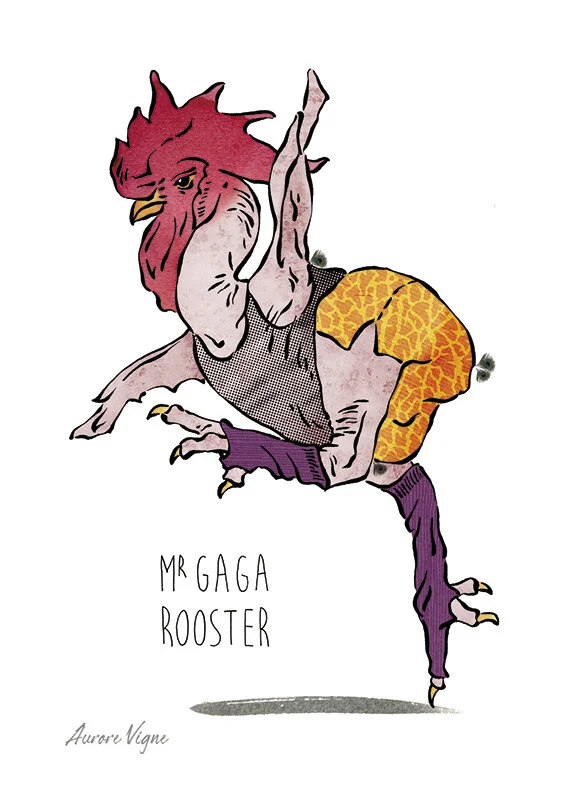 Mr Gaga rooster

The art print features a dancing rooster… His name "Mr Gaga" evokes both the famous american singer Lady Gaga but also the well known israeli artist Ohad Naharin. Gaga is the movement language developed by Ohad Naharin throughout his